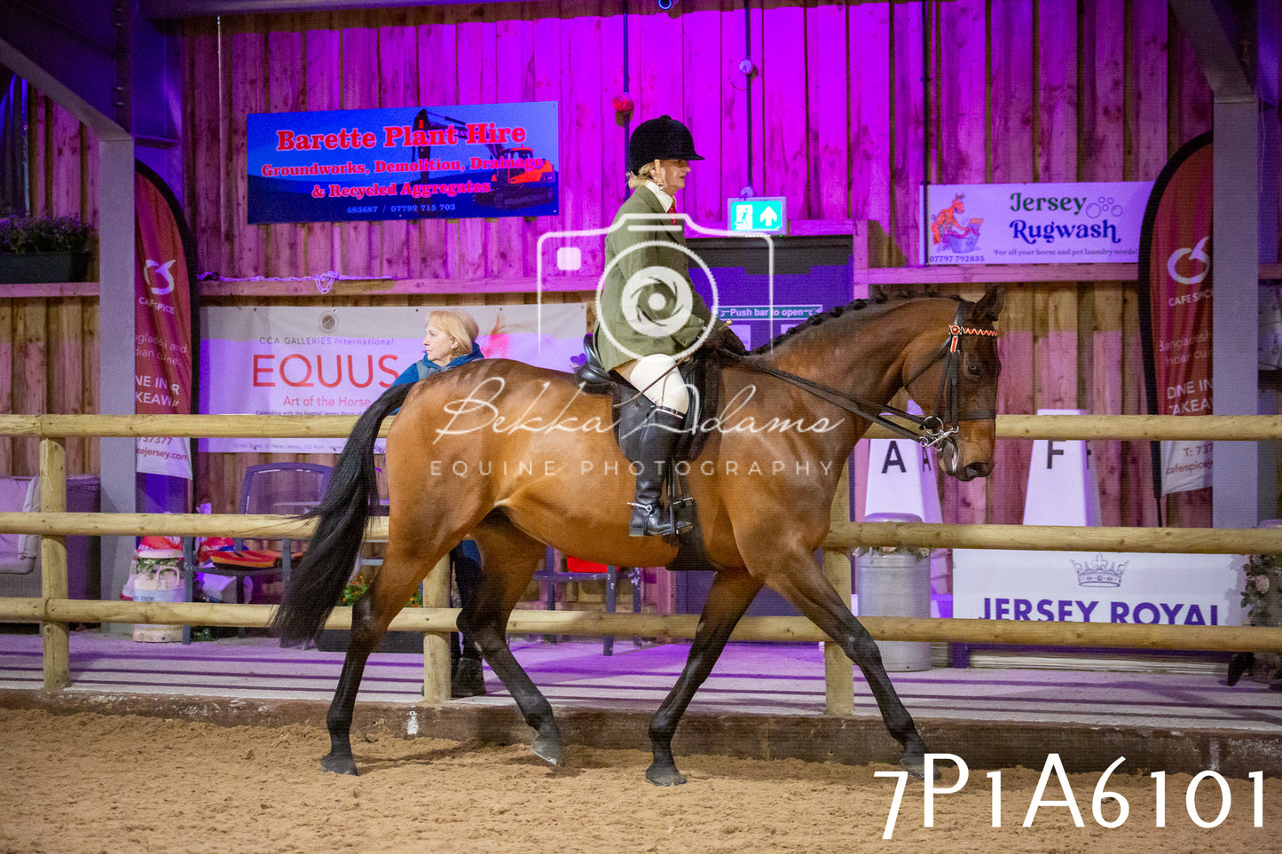 Home Farm Spring Show 2026 - Ridden pt2