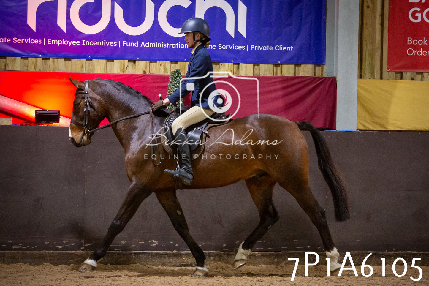 Home Farm Spring Show 2026 - Ridden pt2