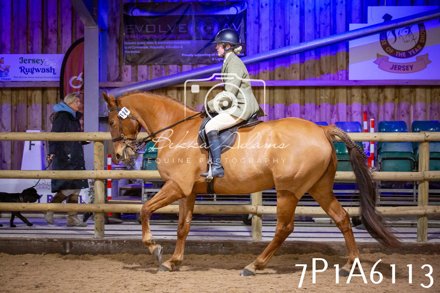 Home Farm Spring Show 2026 - Ridden pt2