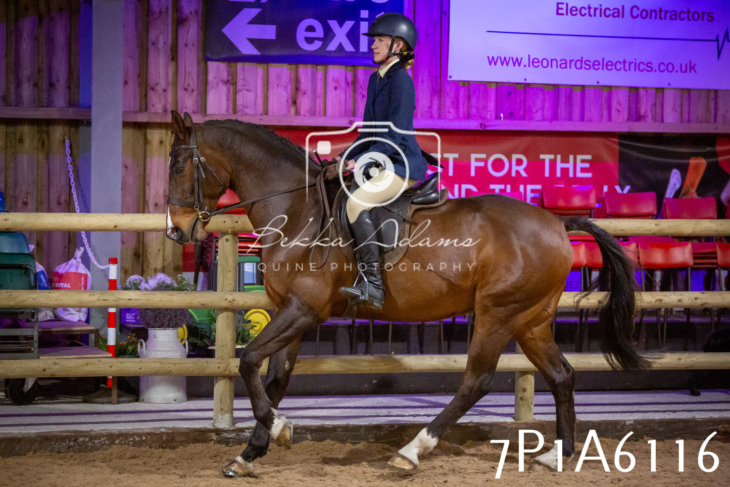 Home Farm Spring Show 2026 - Ridden pt2