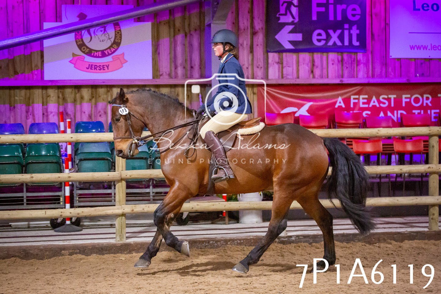 Home Farm Spring Show 2026 - Ridden pt2