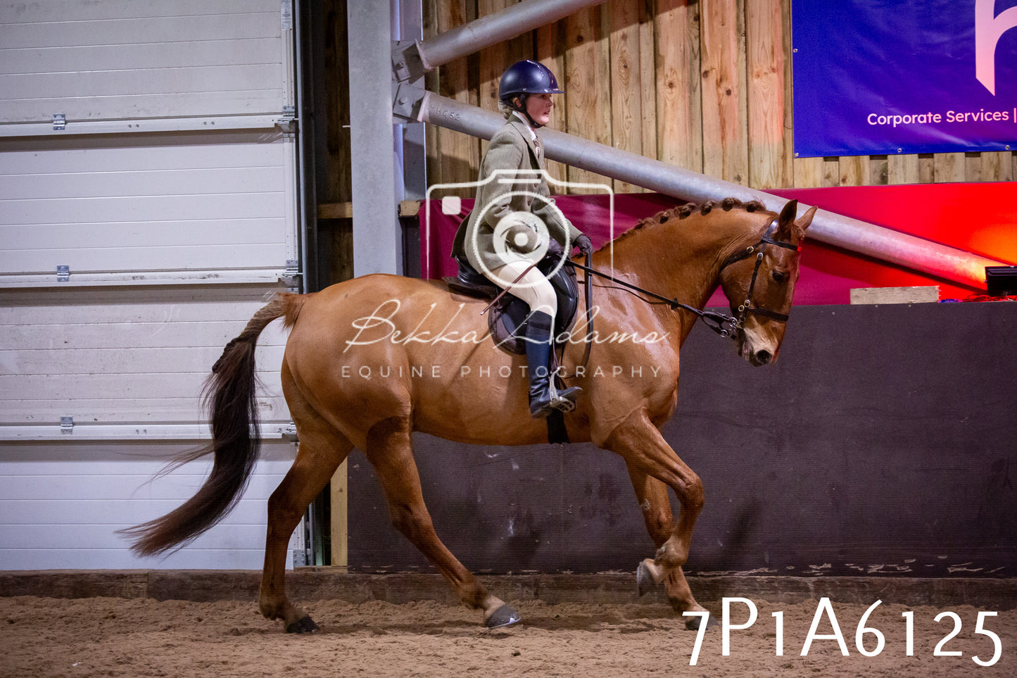Home Farm Spring Show 2026 - Ridden pt2