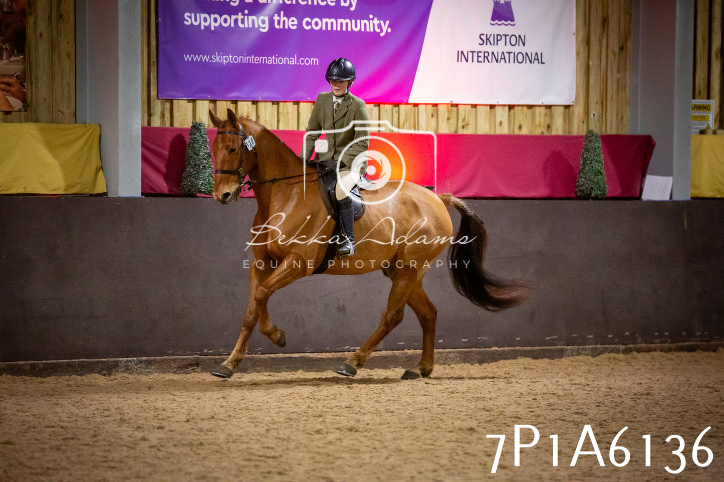 Home Farm Spring Show 2026 - Ridden pt2