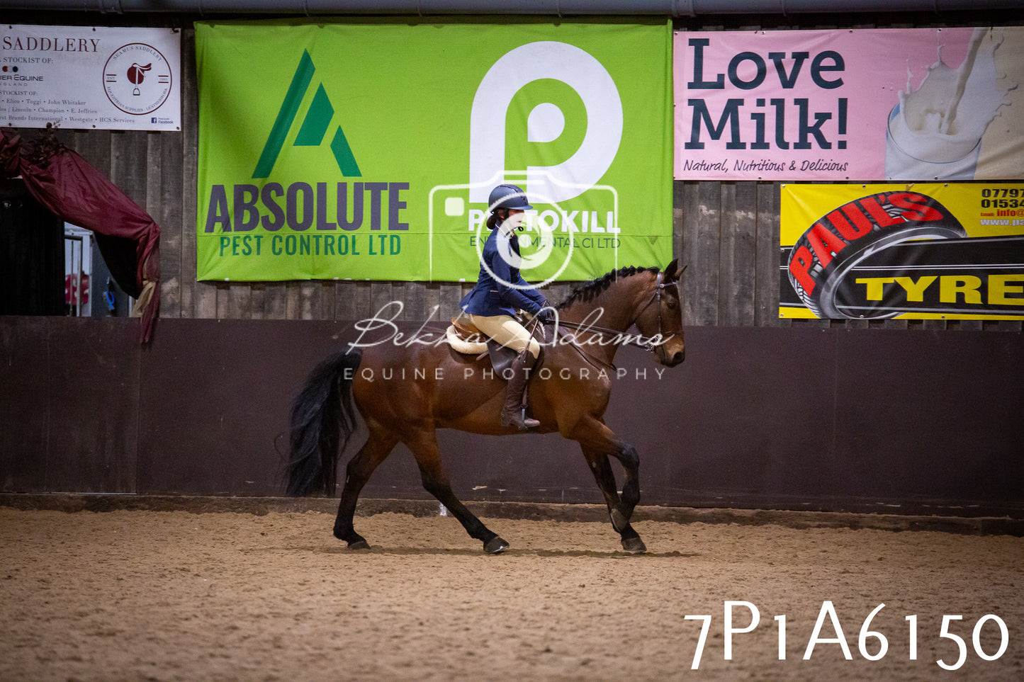 Home Farm Spring Show 2026 - Ridden pt2