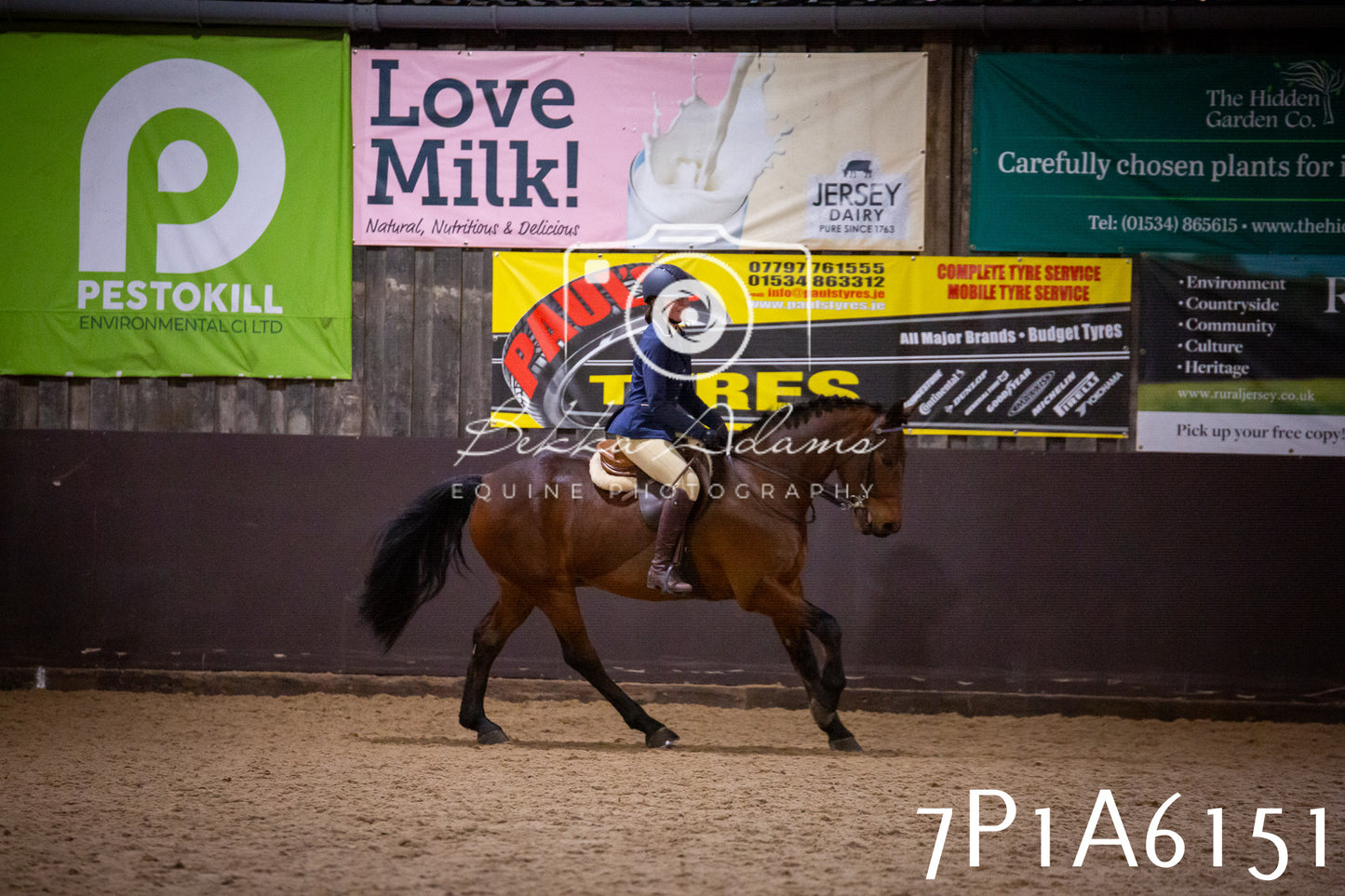 Home Farm Spring Show 2026 - Ridden pt2