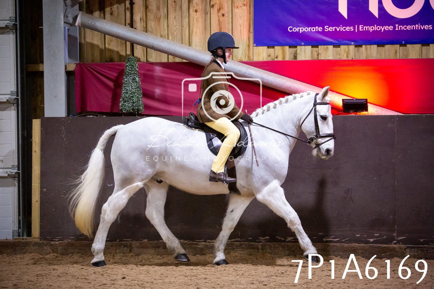 Home Farm Spring Show 2026 - Ridden pt2