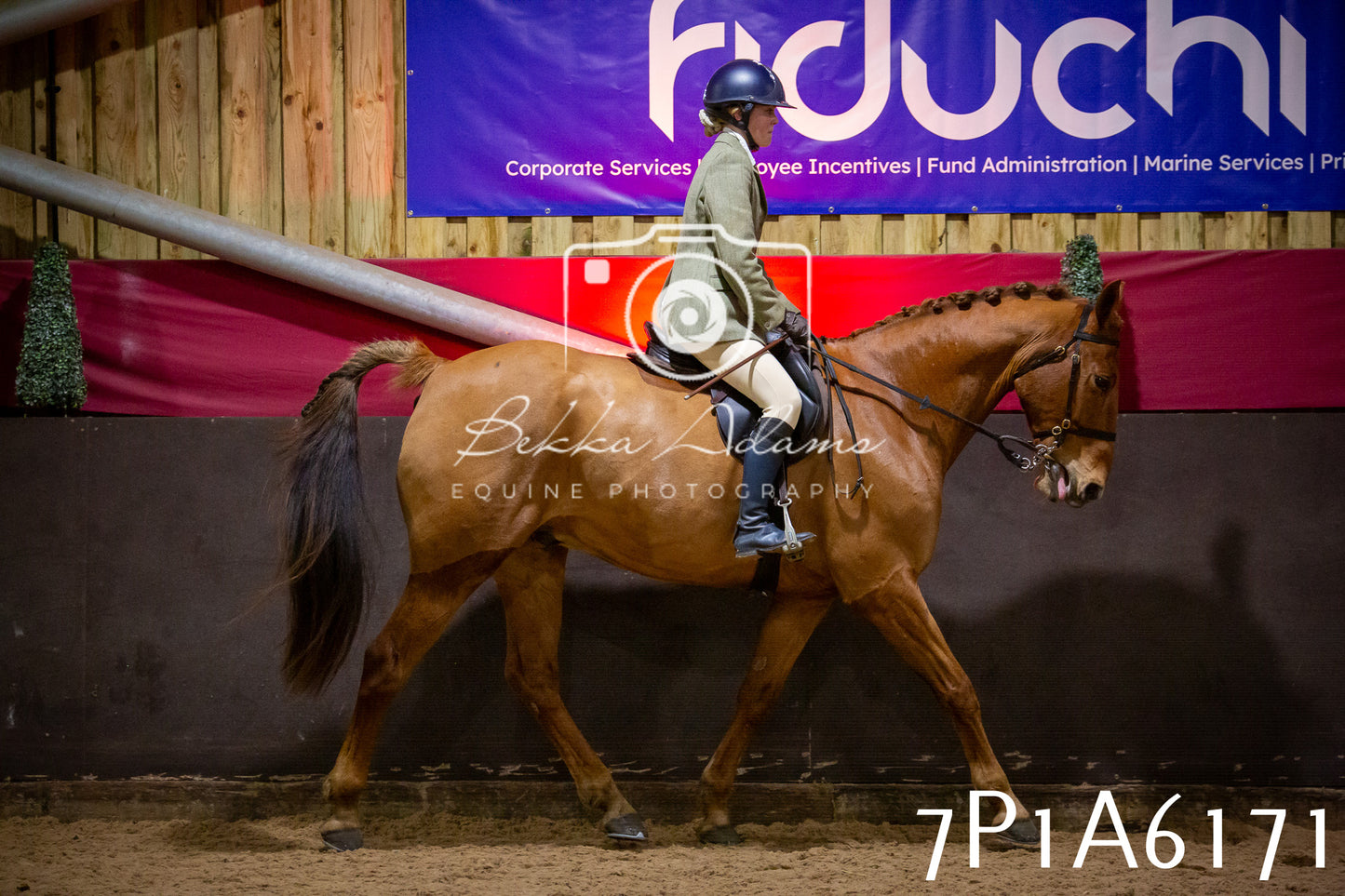 Home Farm Spring Show 2026 - Ridden pt2