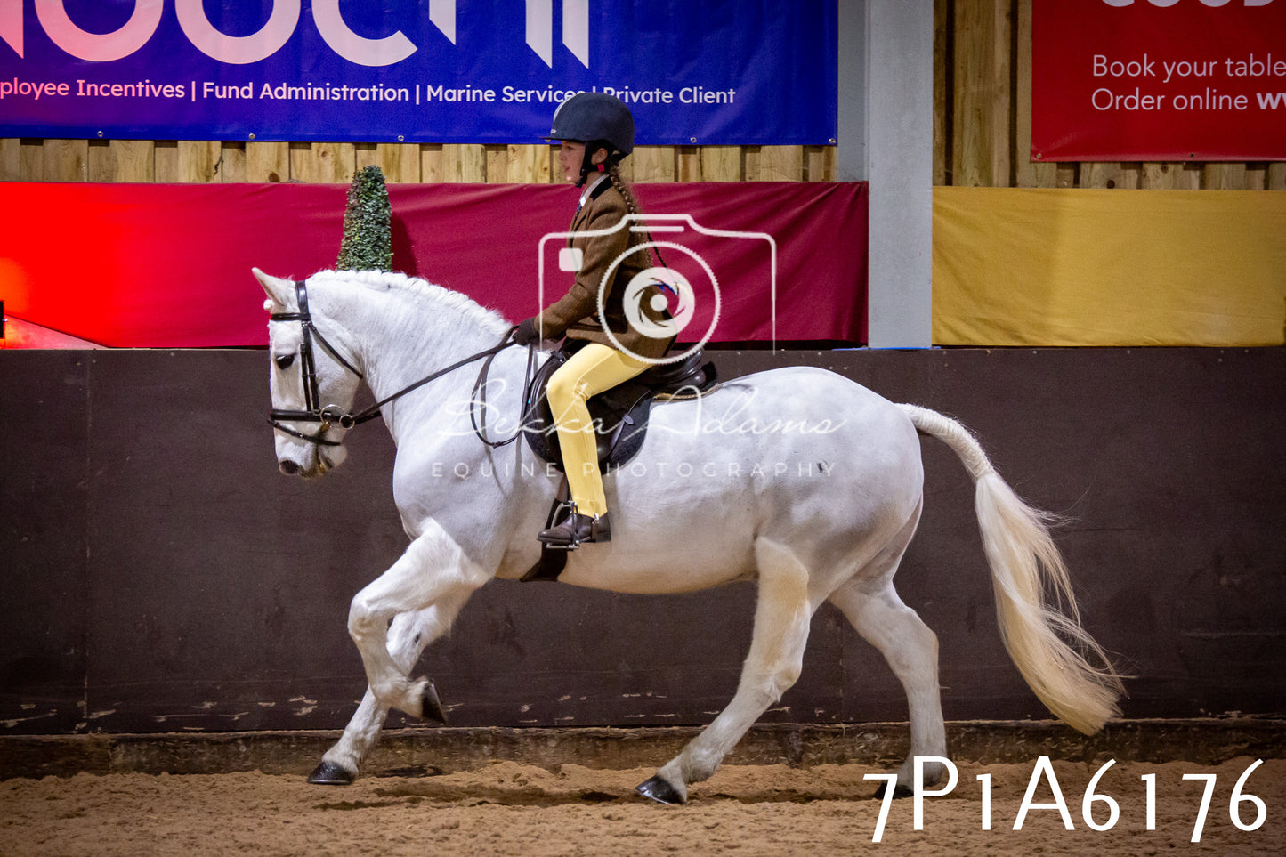 Home Farm Spring Show 2026 - Ridden pt2