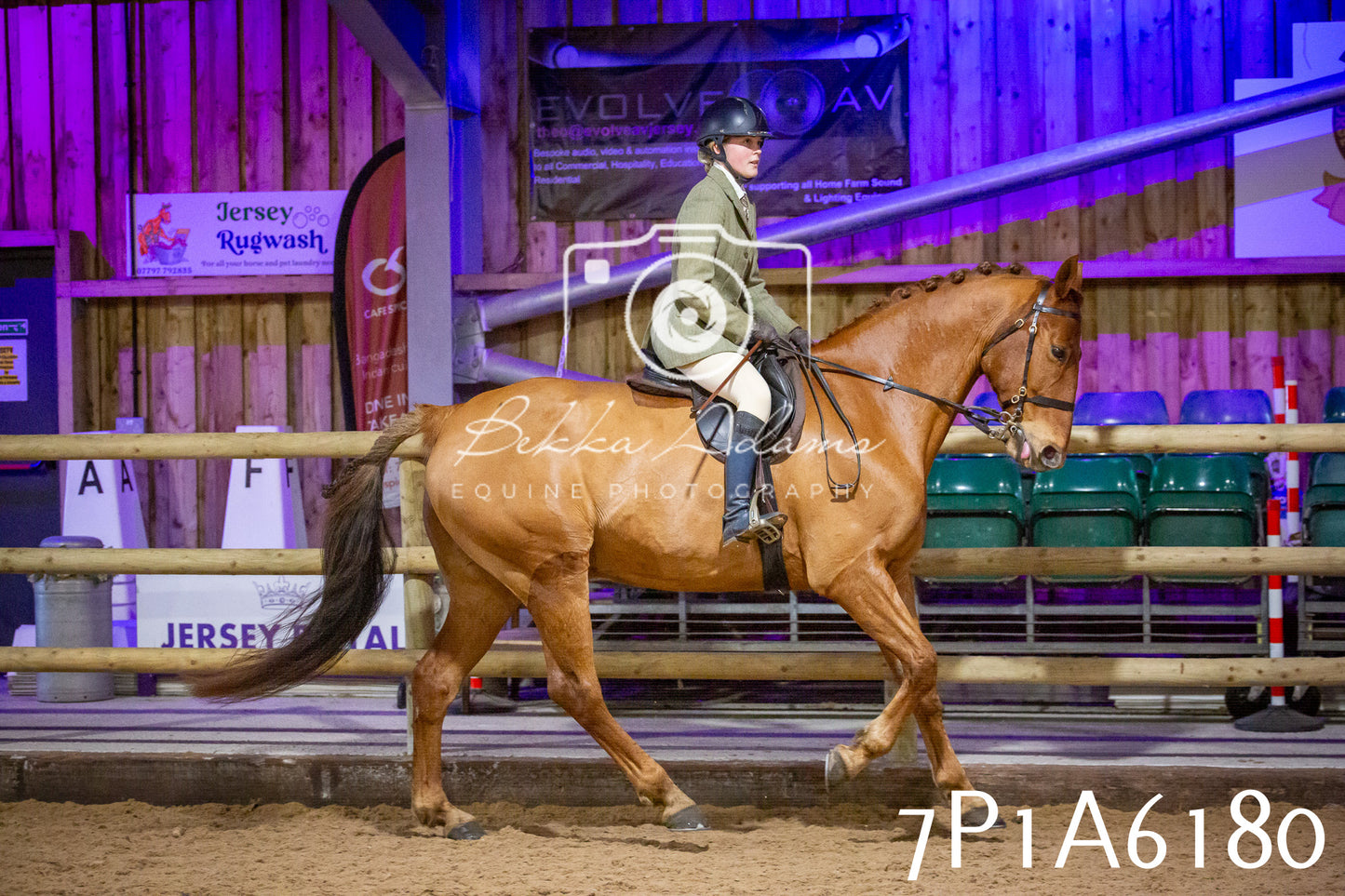 Home Farm Spring Show 2026 - Ridden pt2
