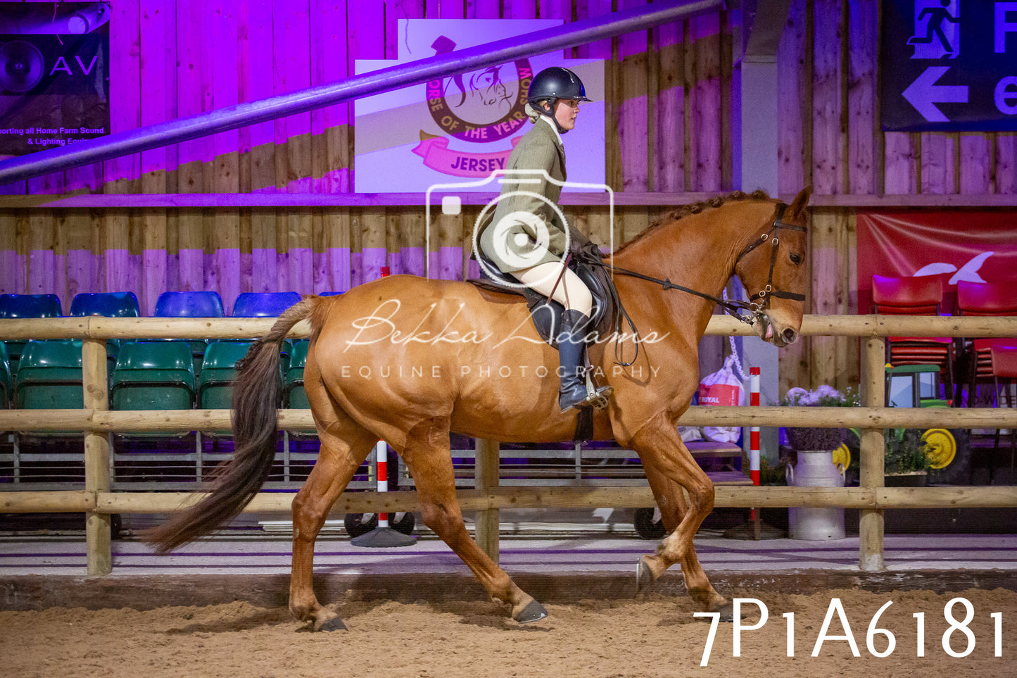 Home Farm Spring Show 2026 - Ridden pt2