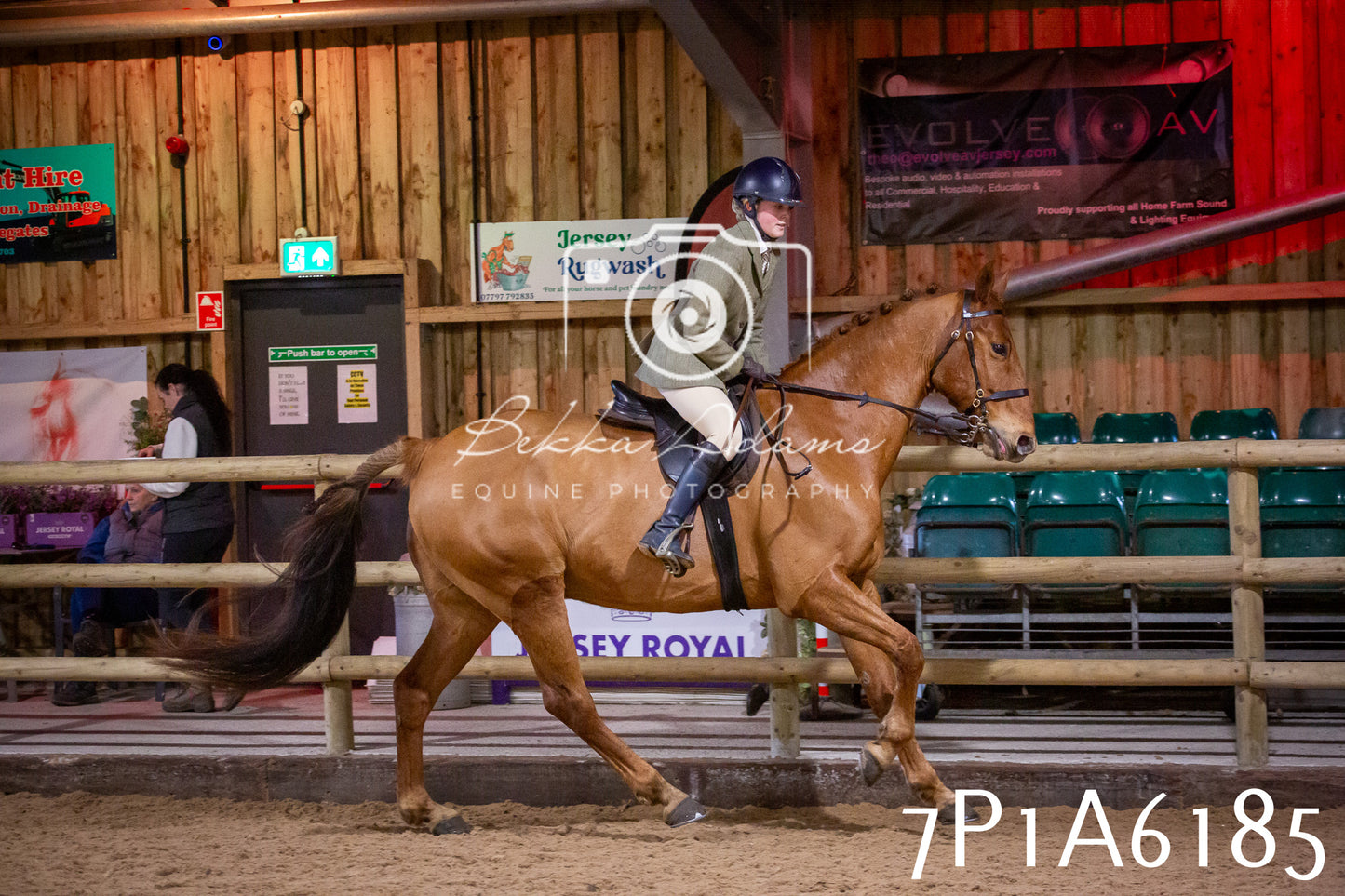 Home Farm Spring Show 2026 - Ridden pt2