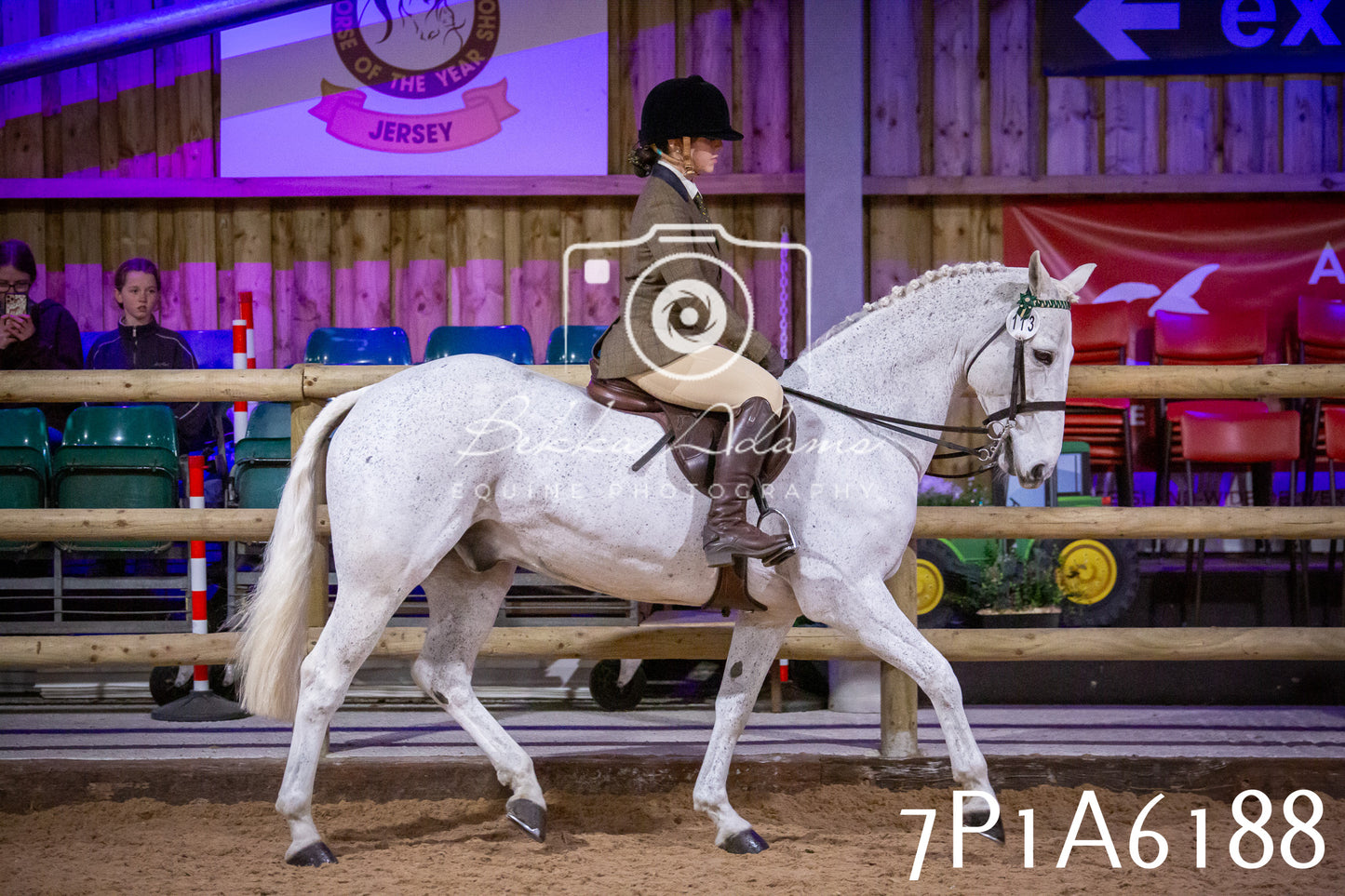 Home Farm Spring Show 2026 - Ridden pt2