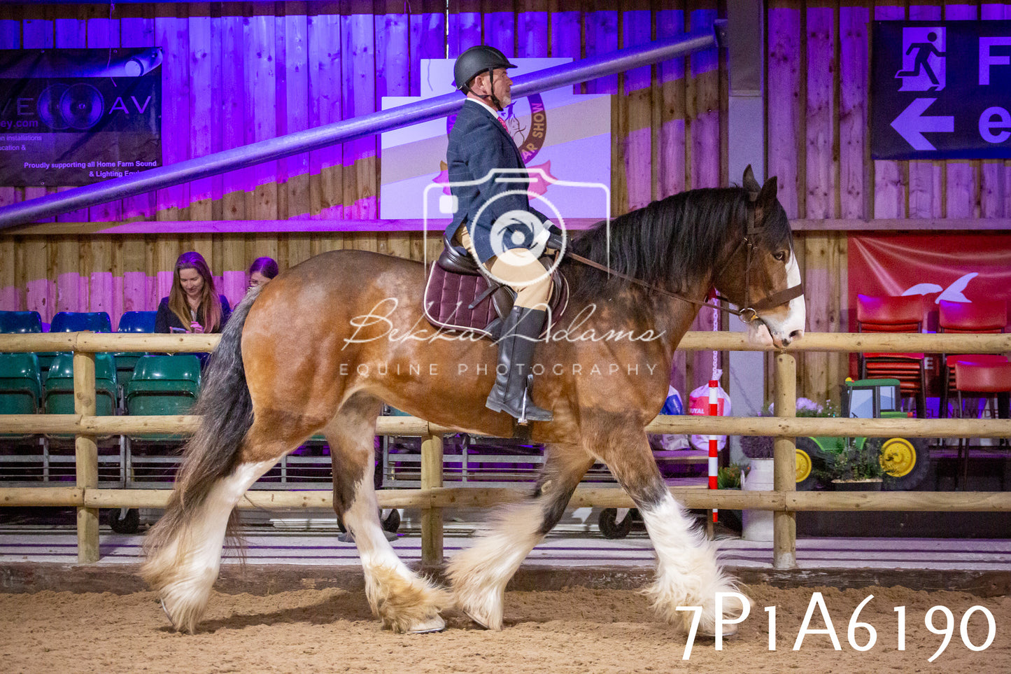 Home Farm Spring Show 2026 - Ridden pt2