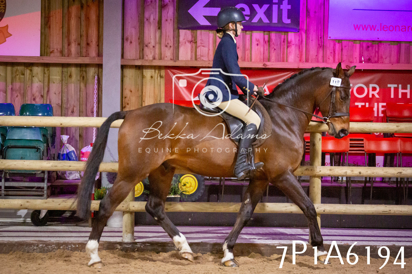 Home Farm Spring Show 2026 - Ridden pt2