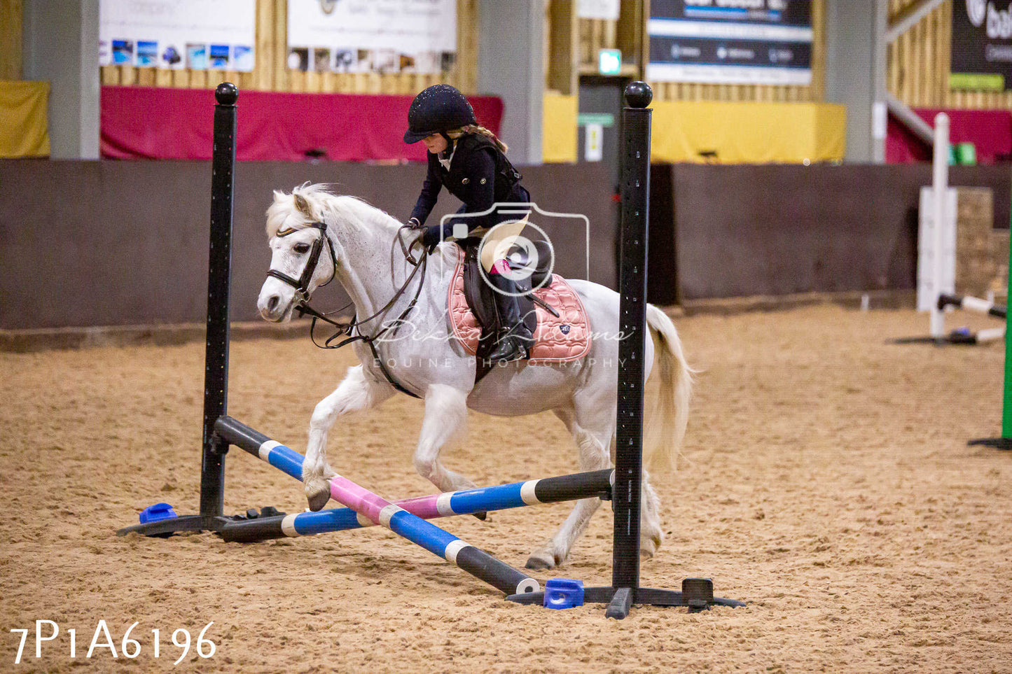 Home Farm Jumping 11th January 2025 - Juniors