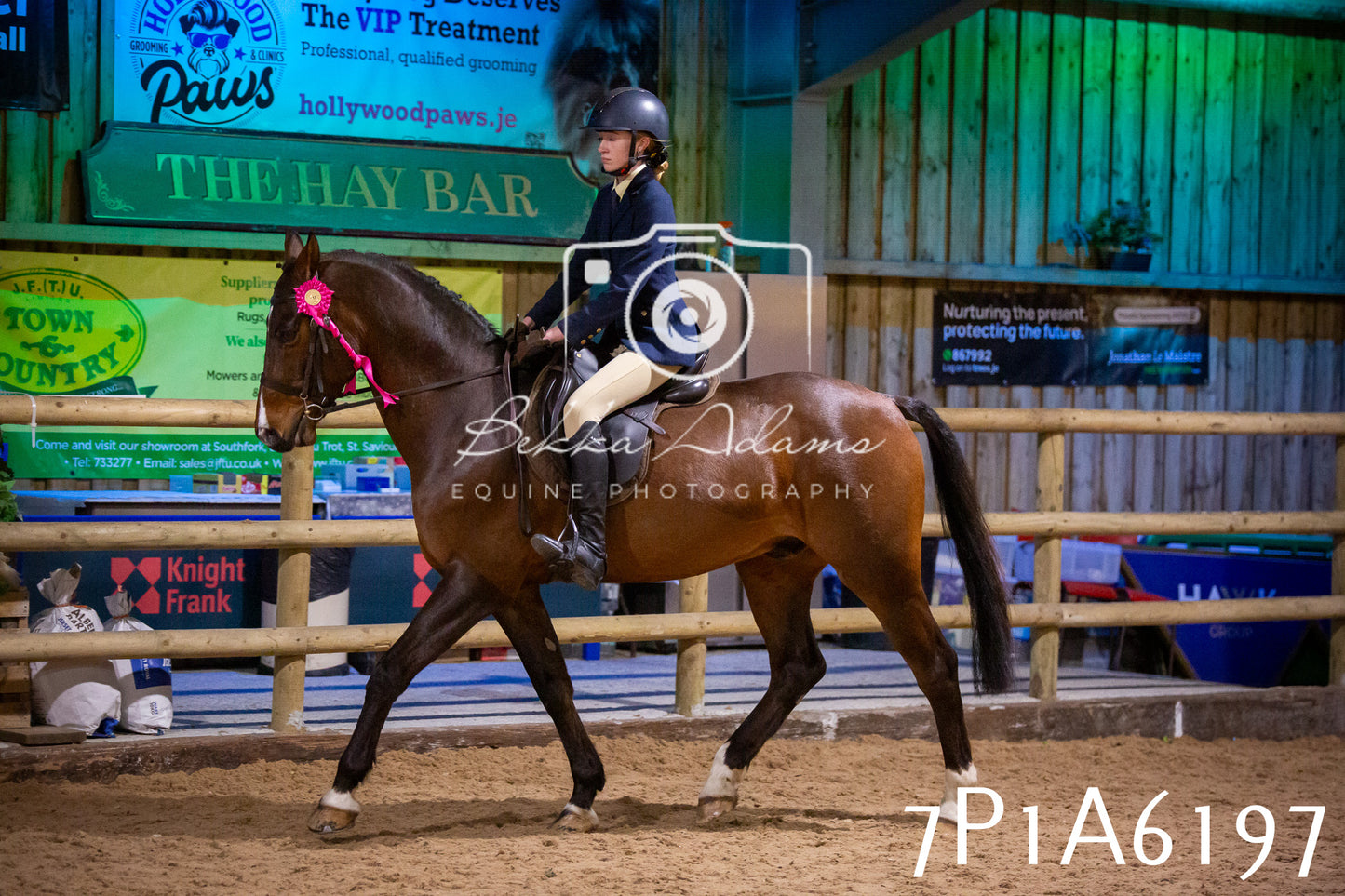 Home Farm Spring Show 2026 - Ridden pt2