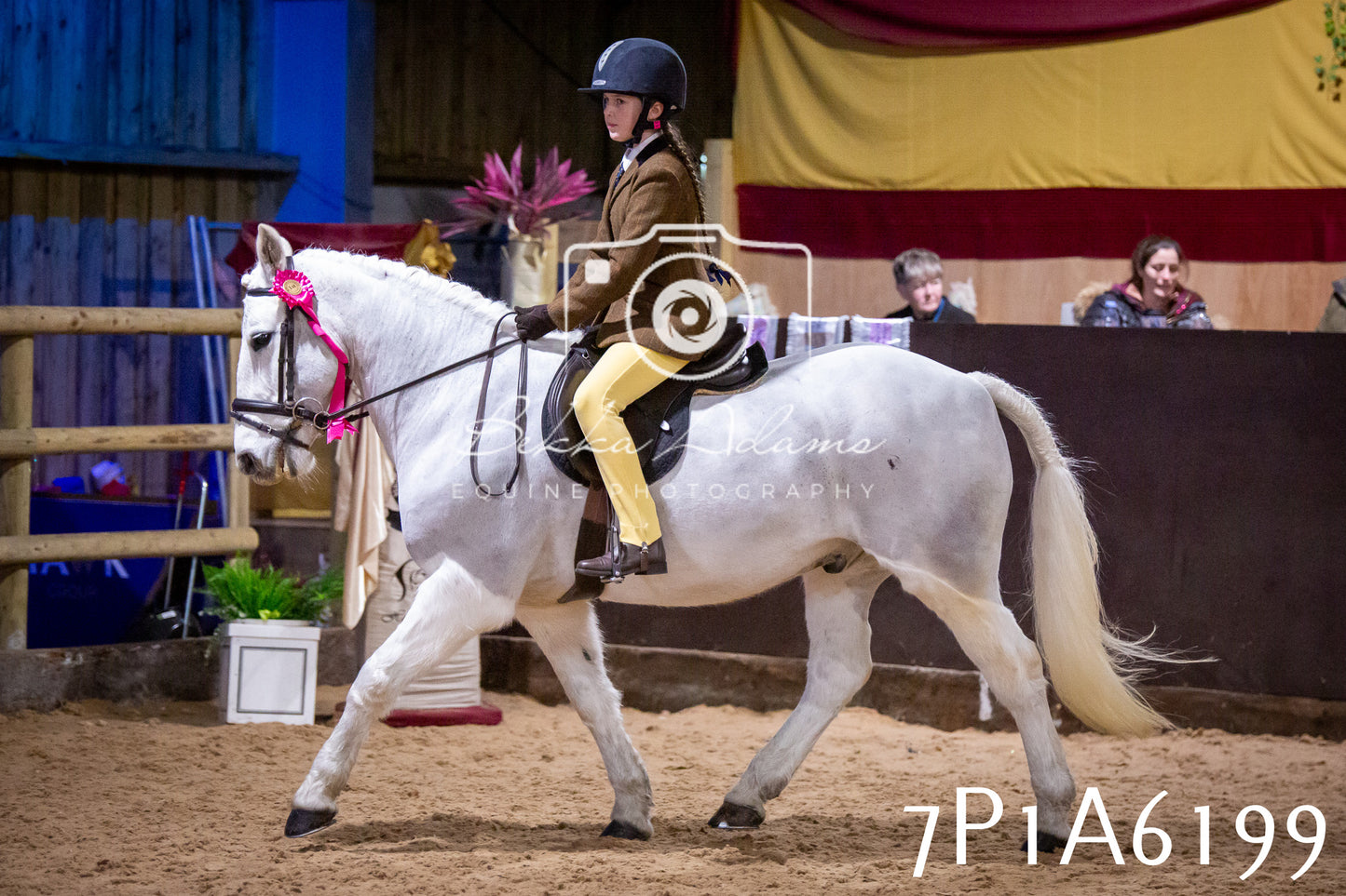 Home Farm Spring Show 2026 - Ridden pt2