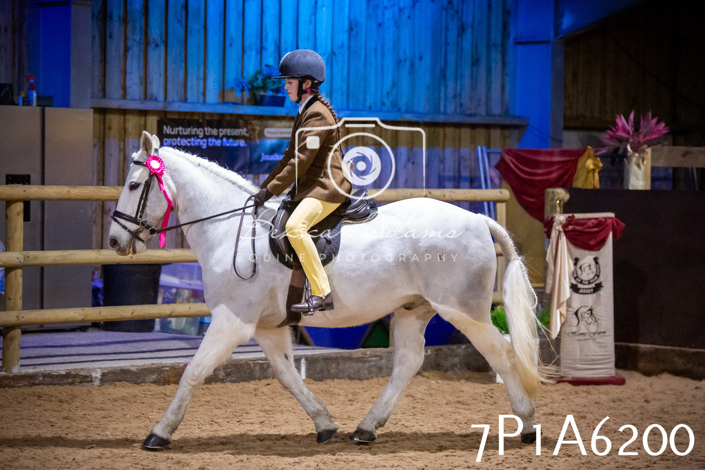 Home Farm Spring Show 2026 - Ridden pt2