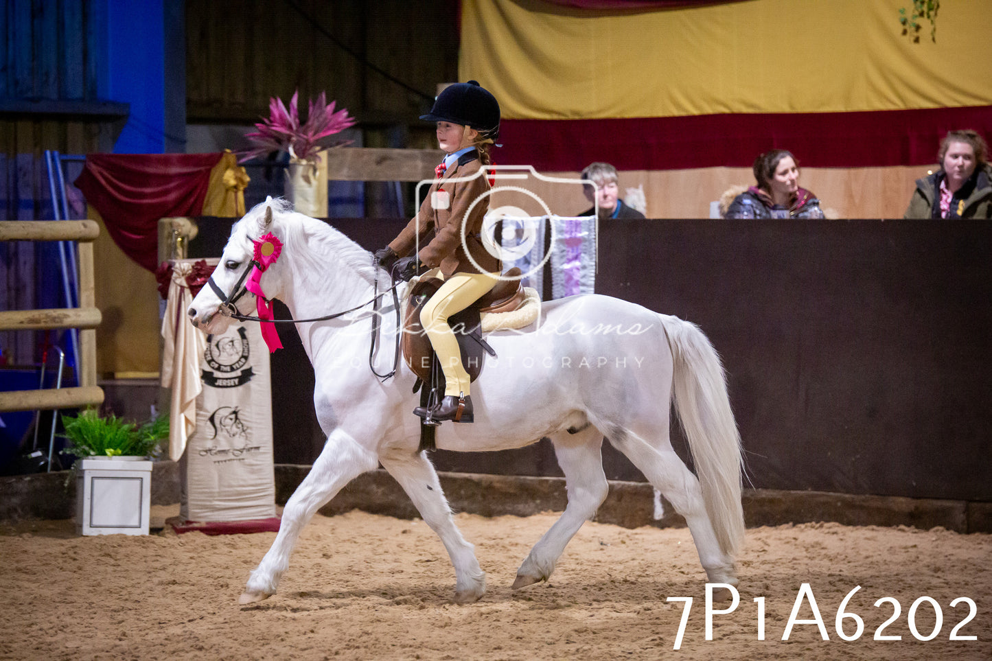 Home Farm Spring Show 2026 - Ridden pt2