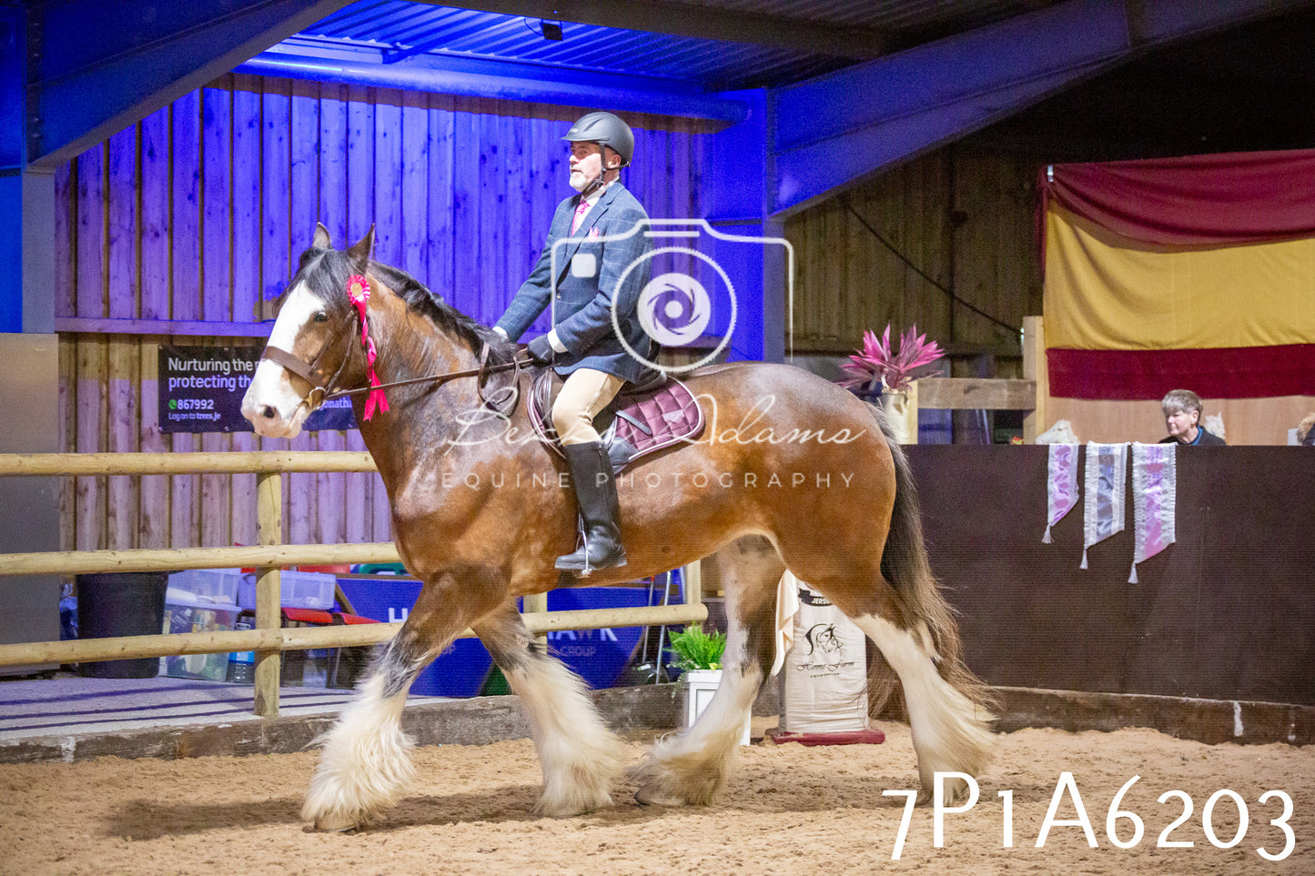 Home Farm Spring Show 2026 - Ridden pt2