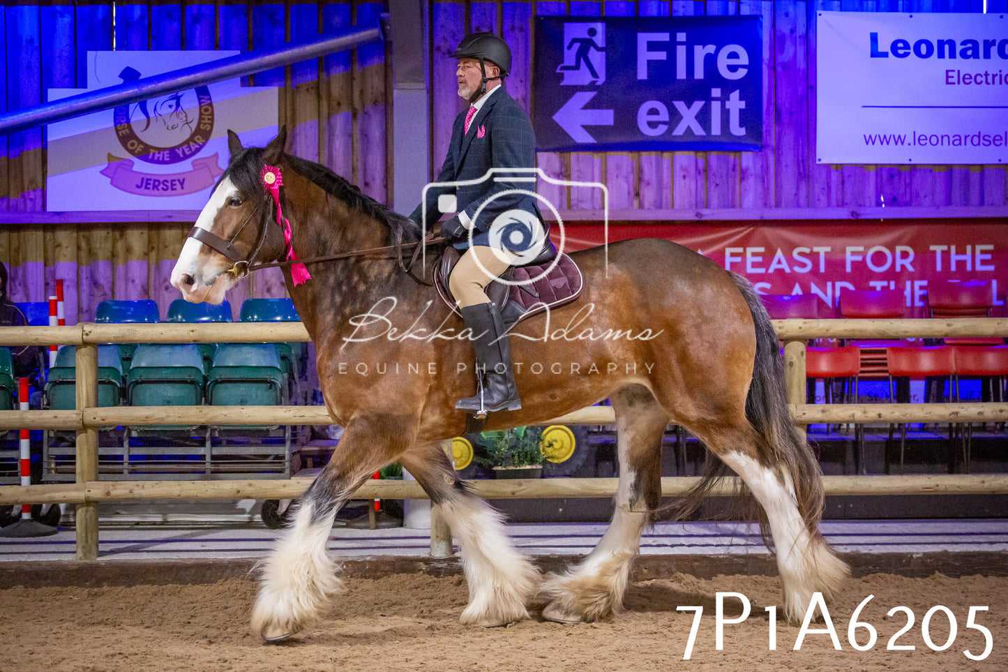 Home Farm Spring Show 2026 - Ridden pt2