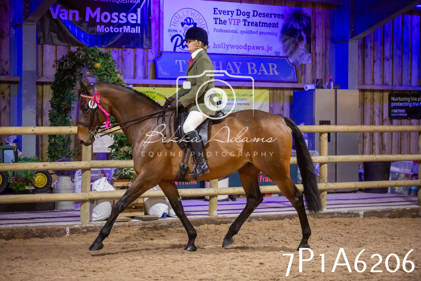 Home Farm Spring Show 2026 - Ridden pt2