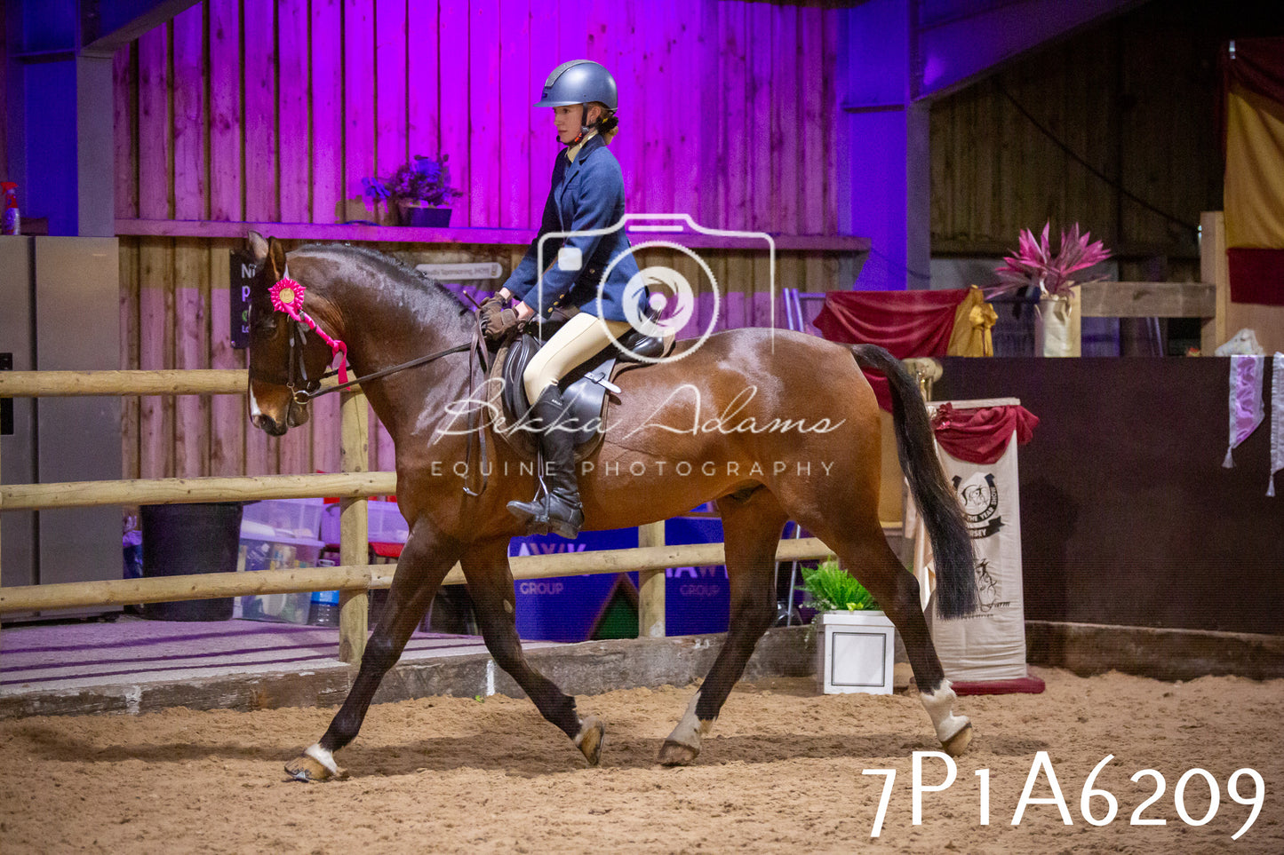 Home Farm Spring Show 2026 - Ridden pt2