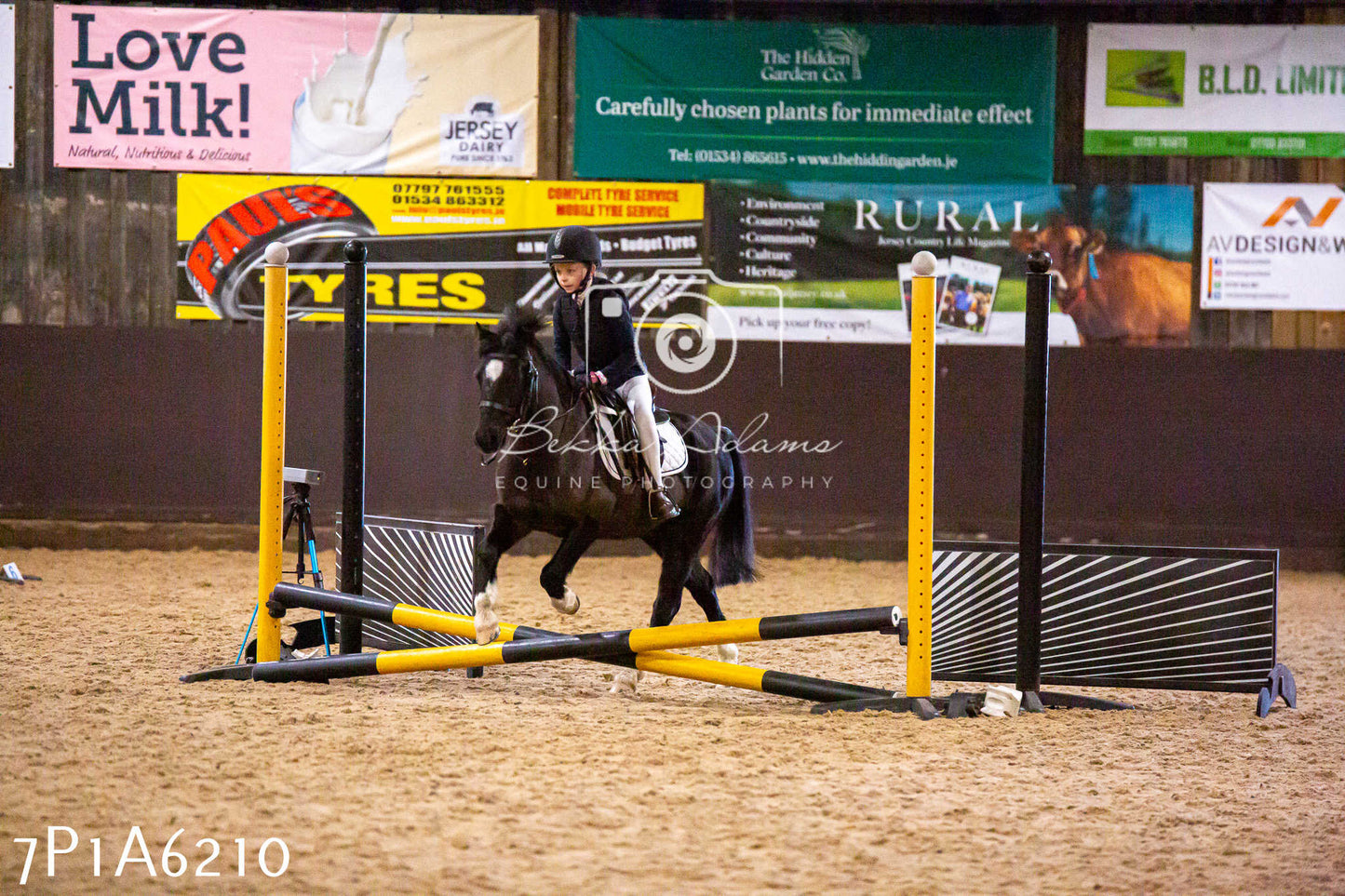 Home Farm Jumping 11th January 2025 - Juniors