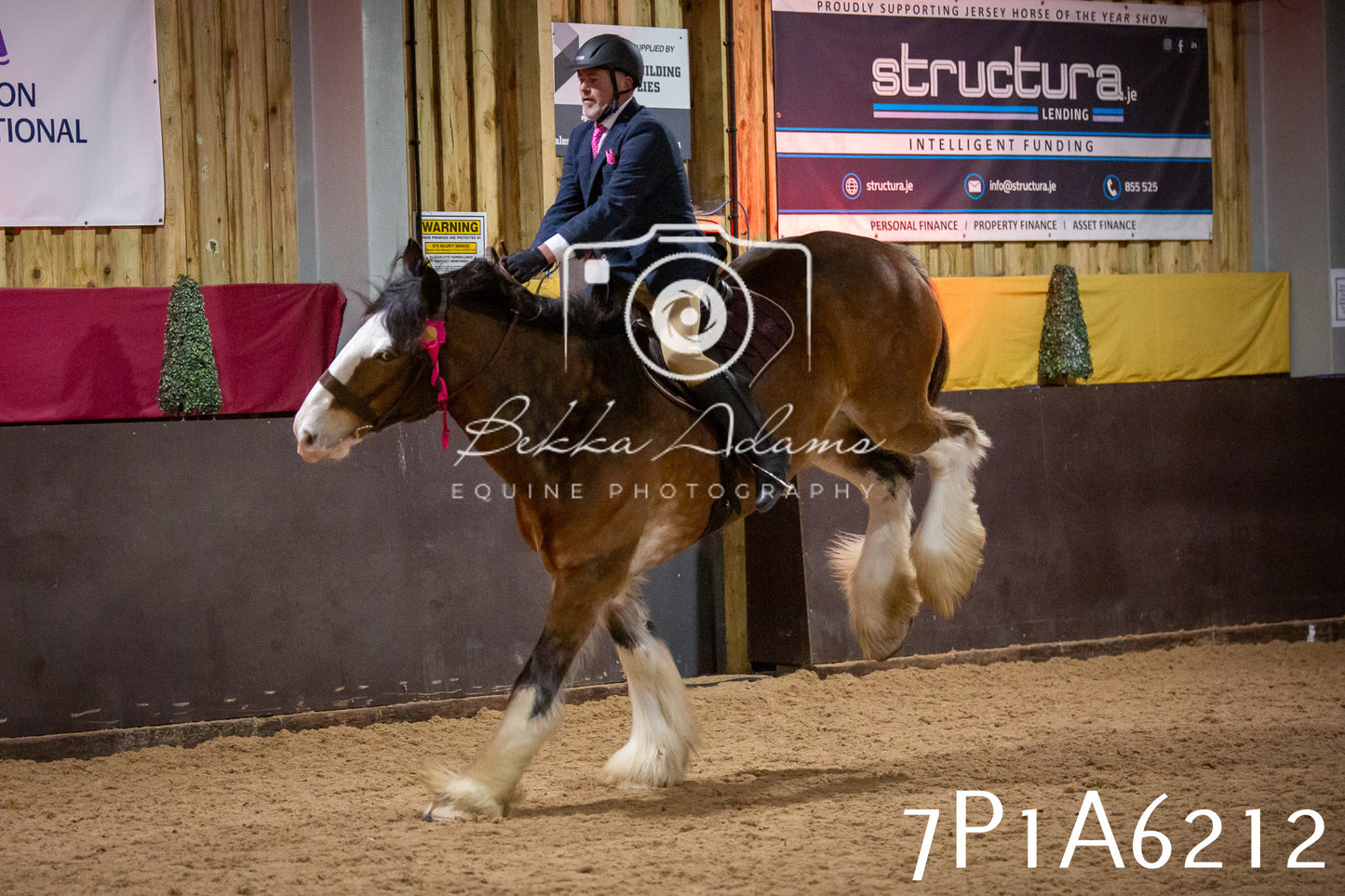 Home Farm Spring Show 2026 - Ridden pt2