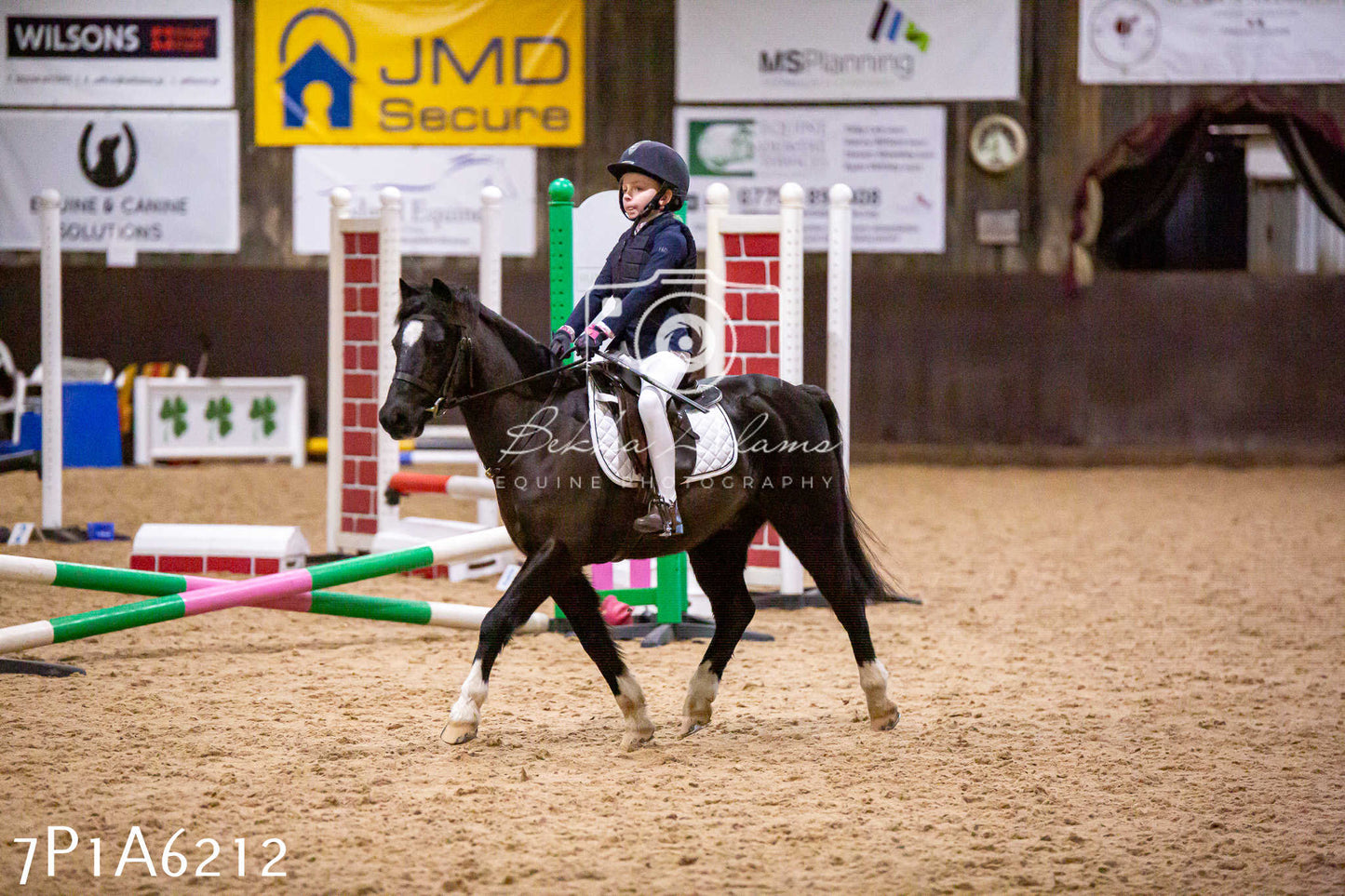 Home Farm Jumping 11th January 2025 - Juniors