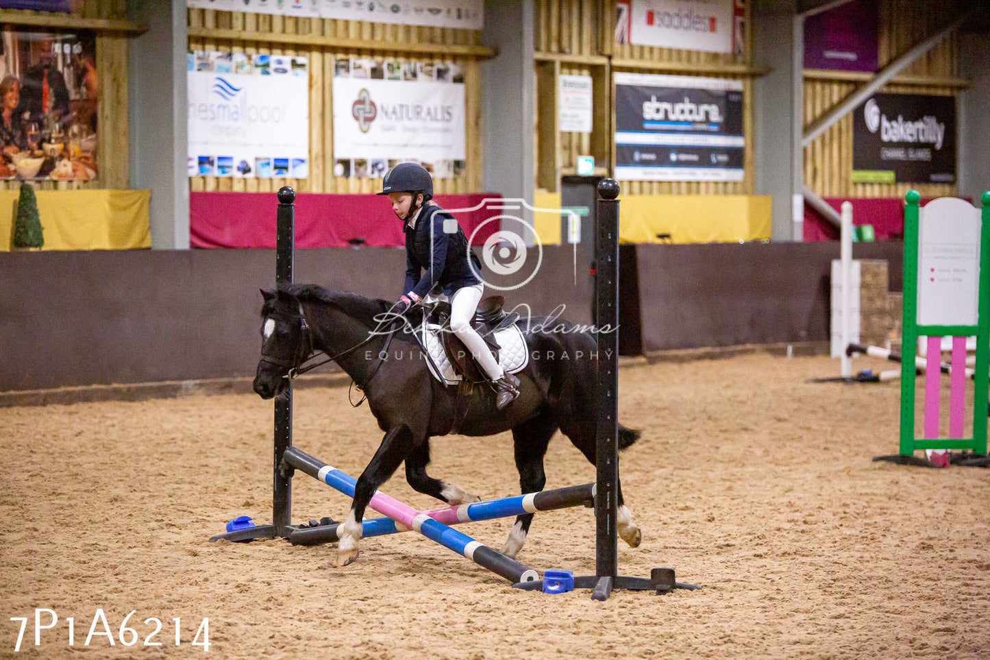 Home Farm Jumping 11th January 2025 - Juniors