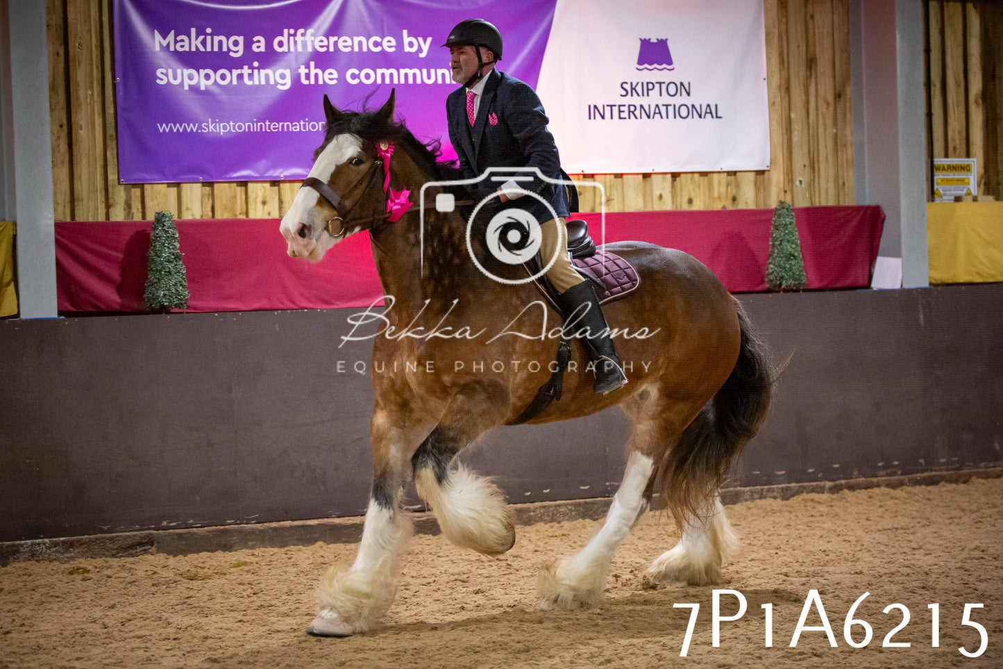 Home Farm Spring Show 2026 - Ridden pt2