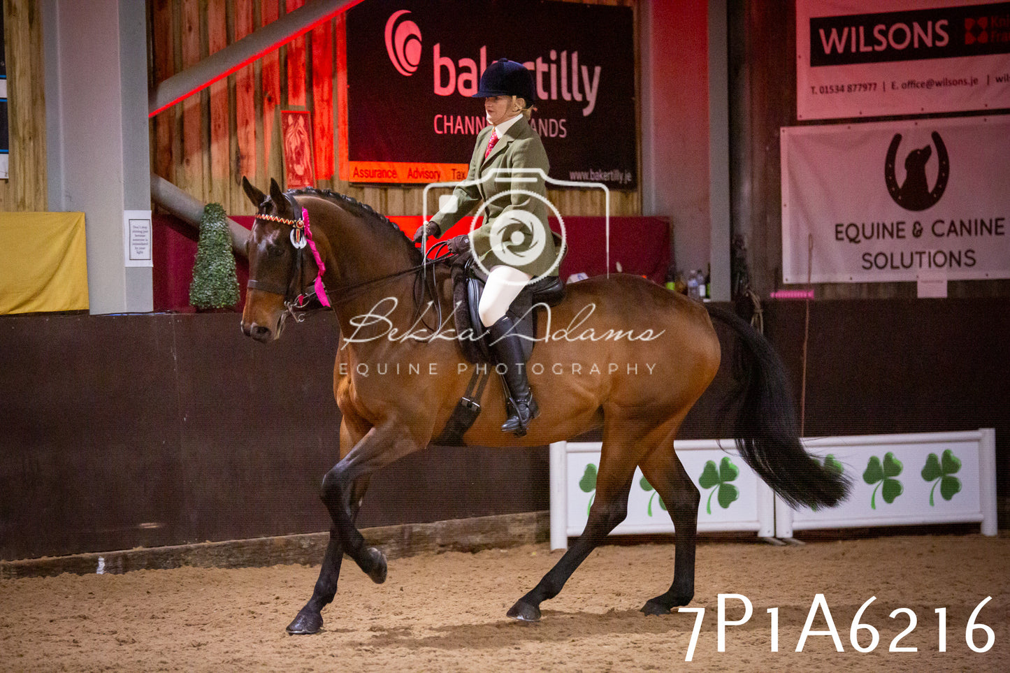 Home Farm Spring Show 2026 - Ridden pt2