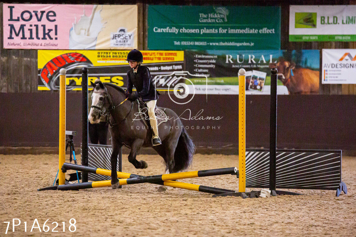 Home Farm Jumping 11th January 2025 - Juniors