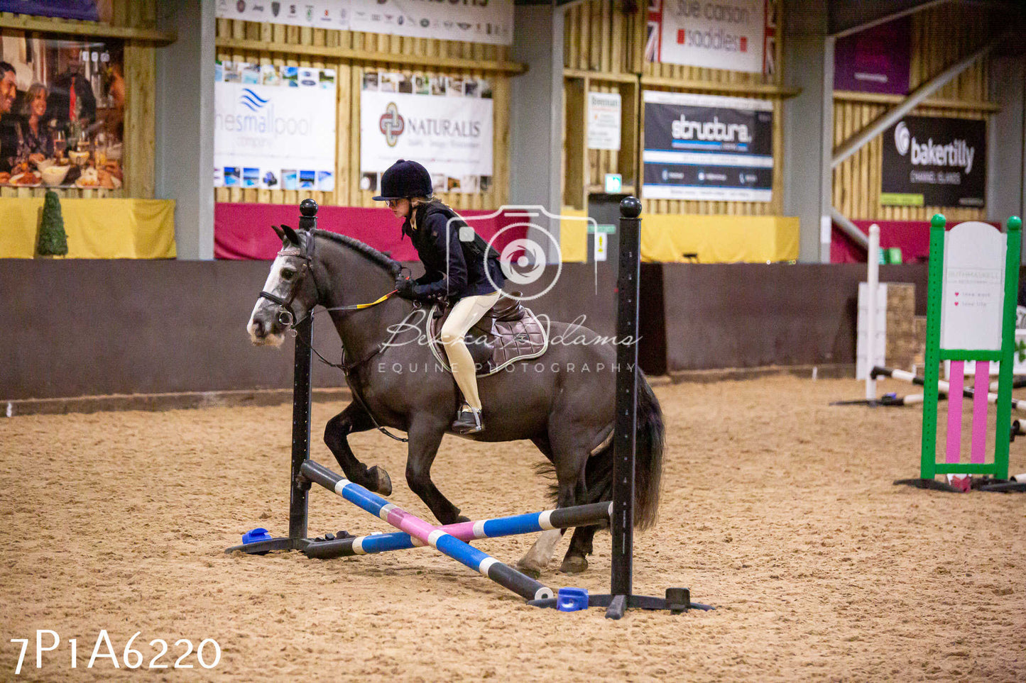 Home Farm Jumping 11th January 2025 - Juniors