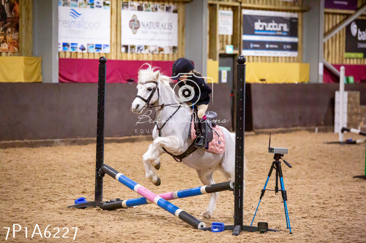 Home Farm Jumping 11th January 2025 - Juniors