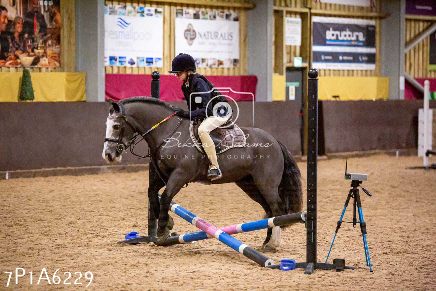 Home Farm Jumping 11th January 2025 - Juniors