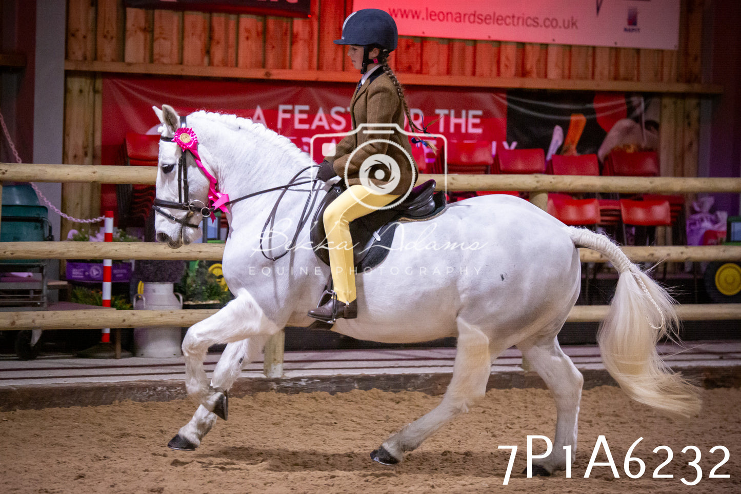 Home Farm Spring Show 2026 - Ridden pt2
