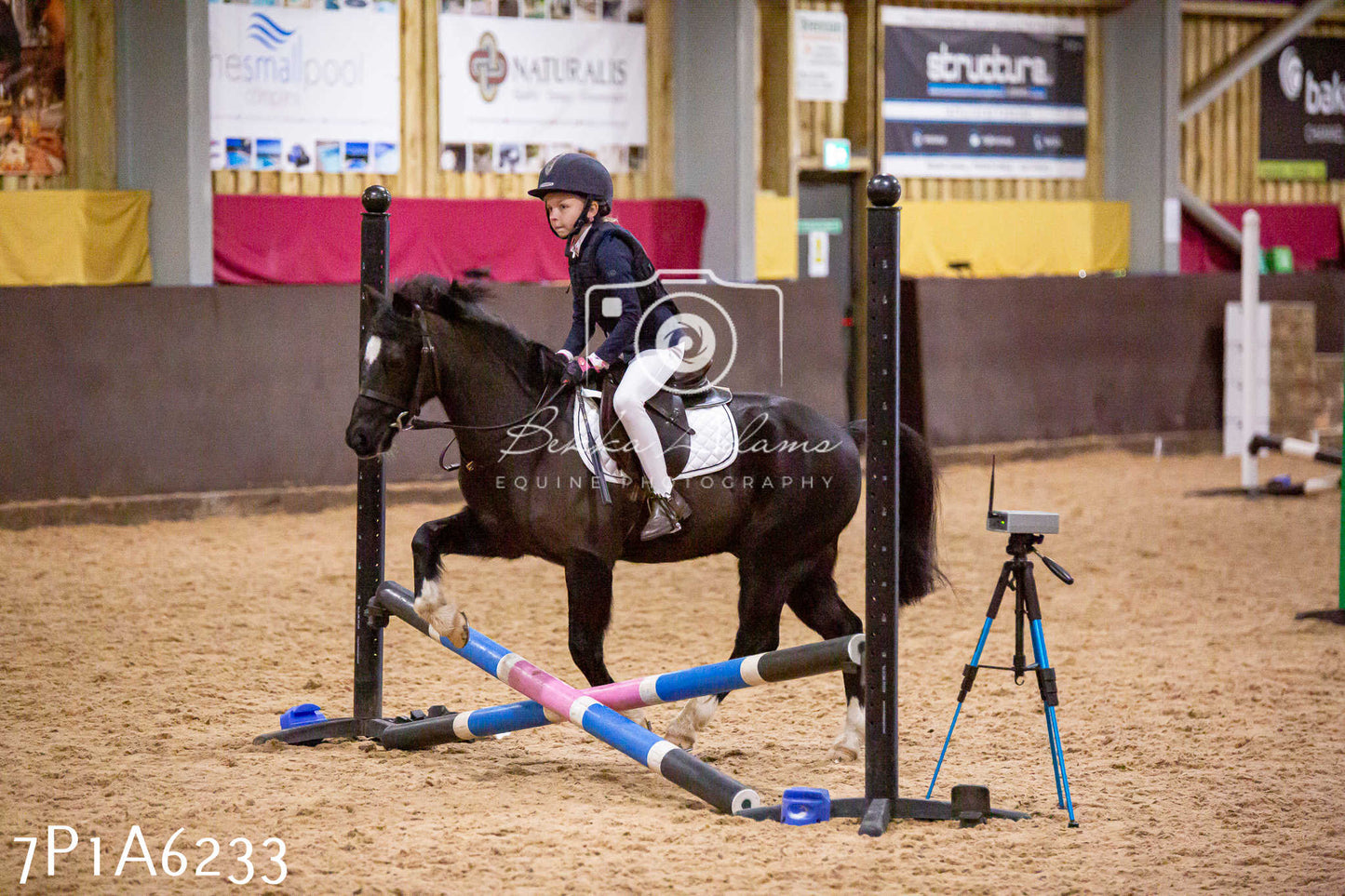 Home Farm Jumping 11th January 2025 - Juniors