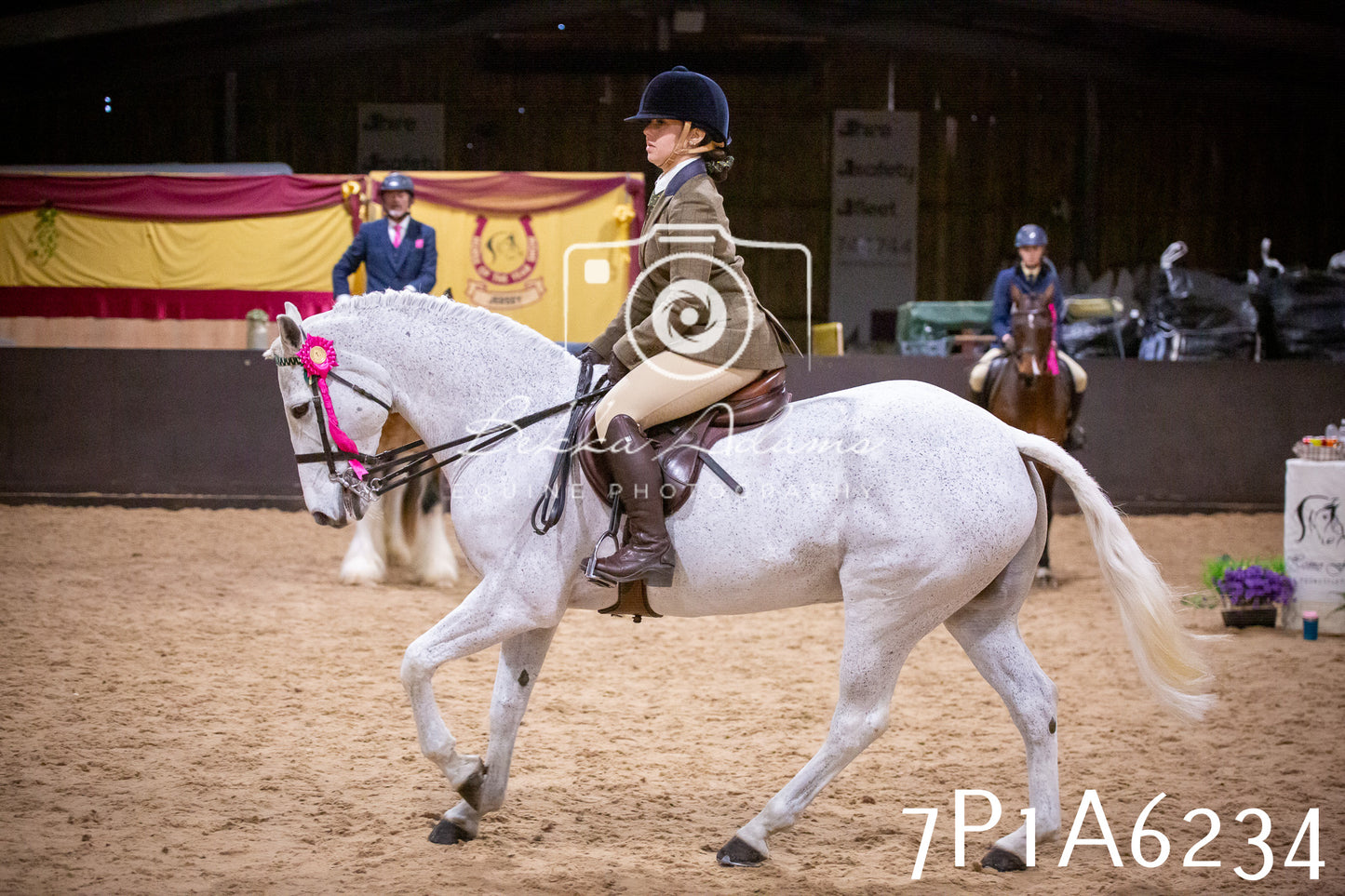 Home Farm Spring Show 2026 - Ridden pt2