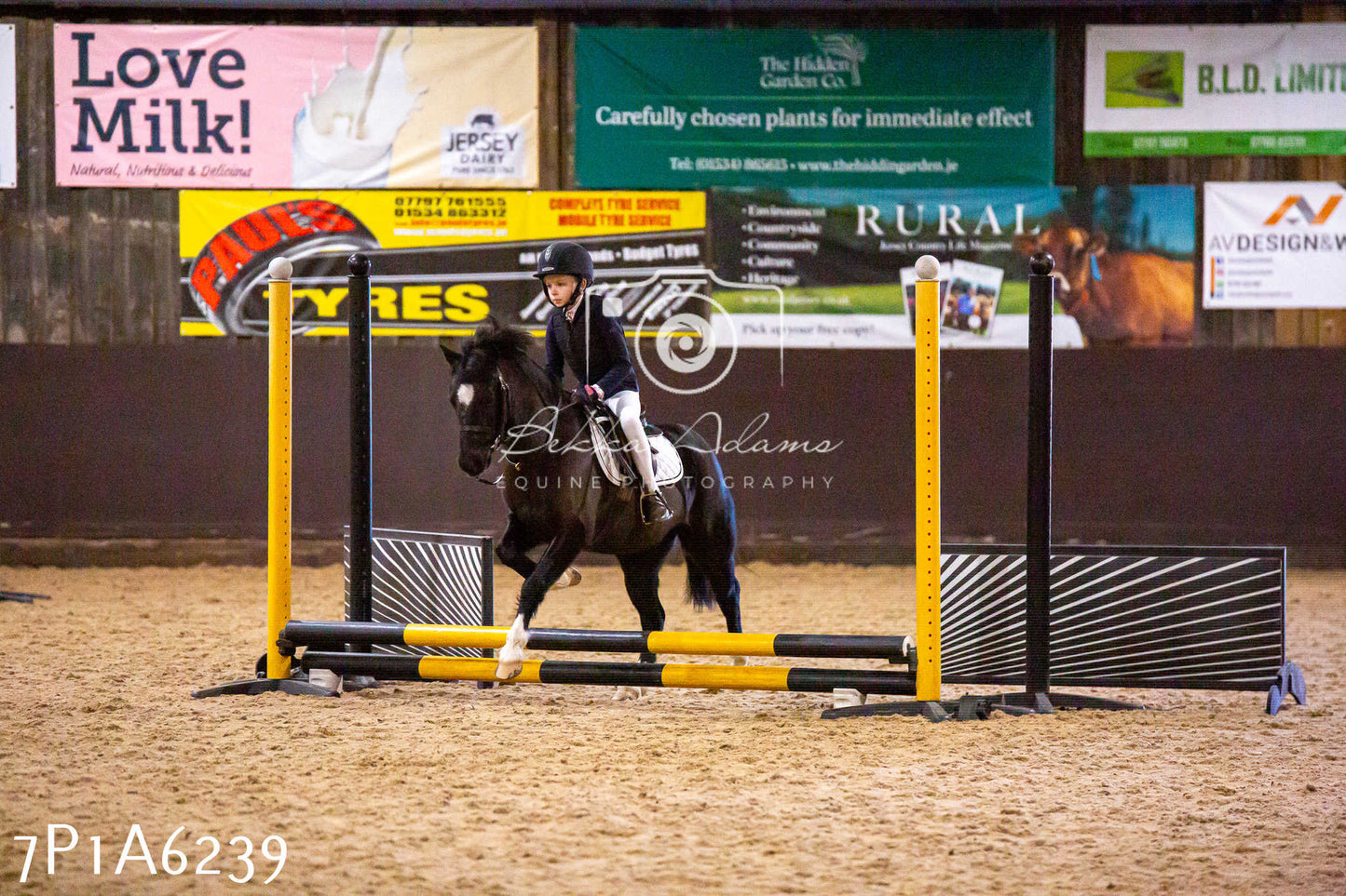 Home Farm Jumping 11th January 2025 - Juniors