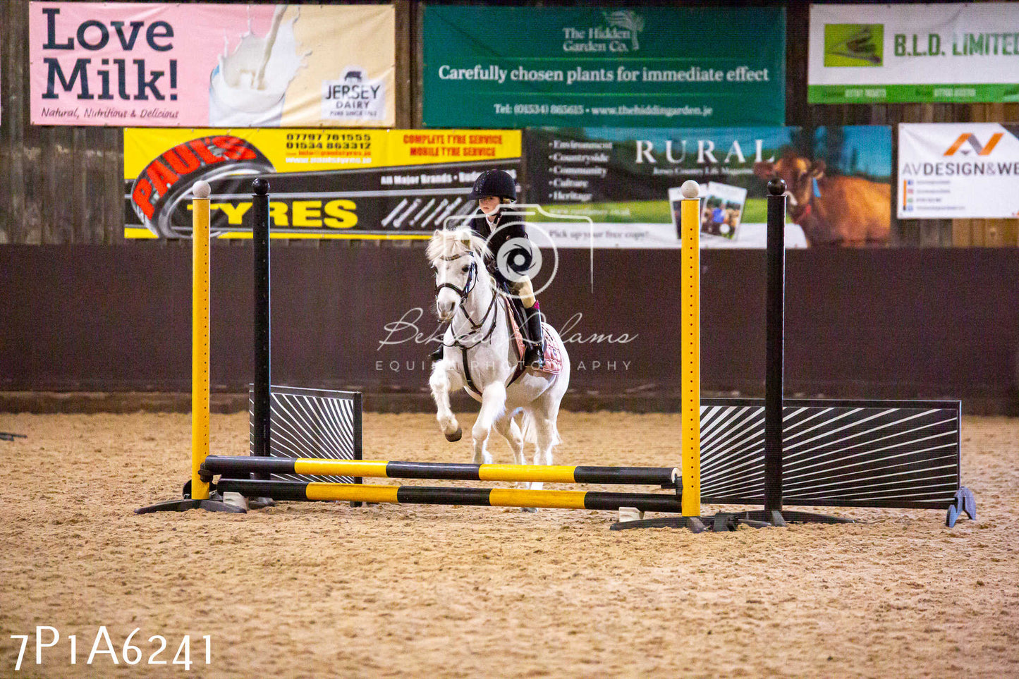 Home Farm Jumping 11th January 2025 - Juniors