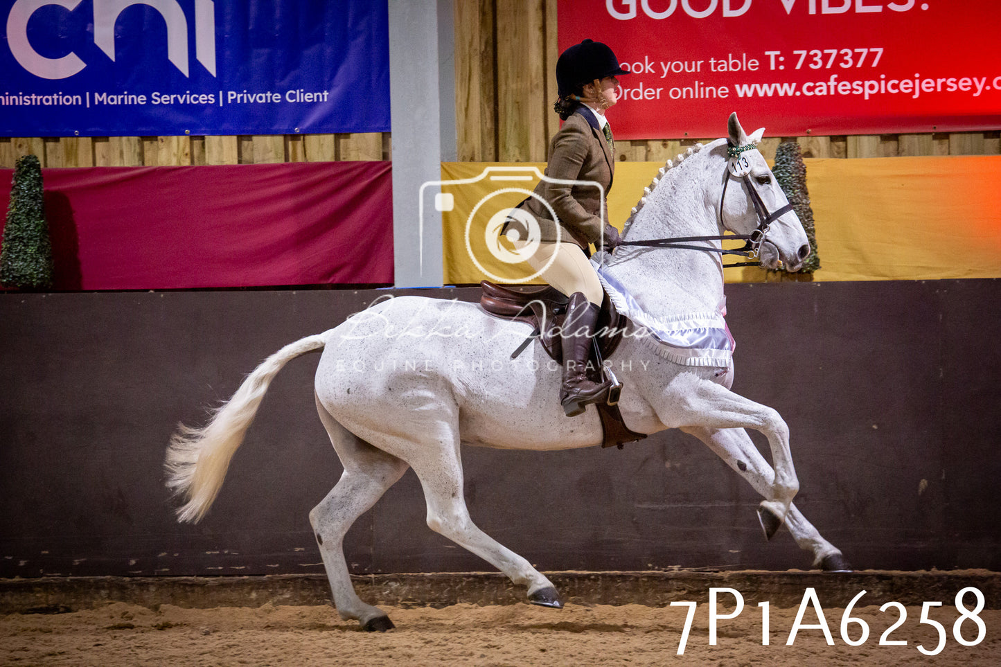 Home Farm Spring Show 2026 - Ridden pt2