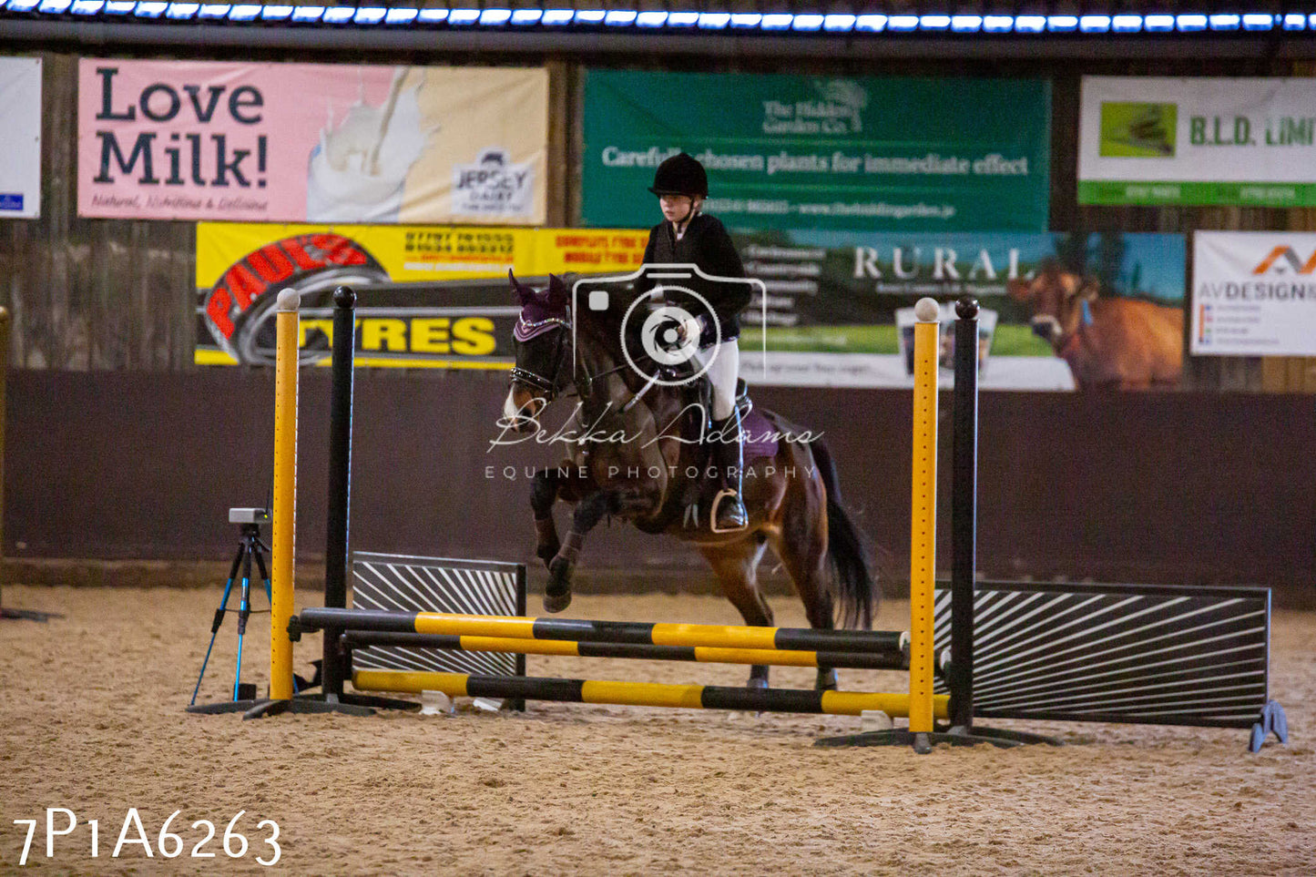 Home Farm Jumping 11th January 2025 - Juniors