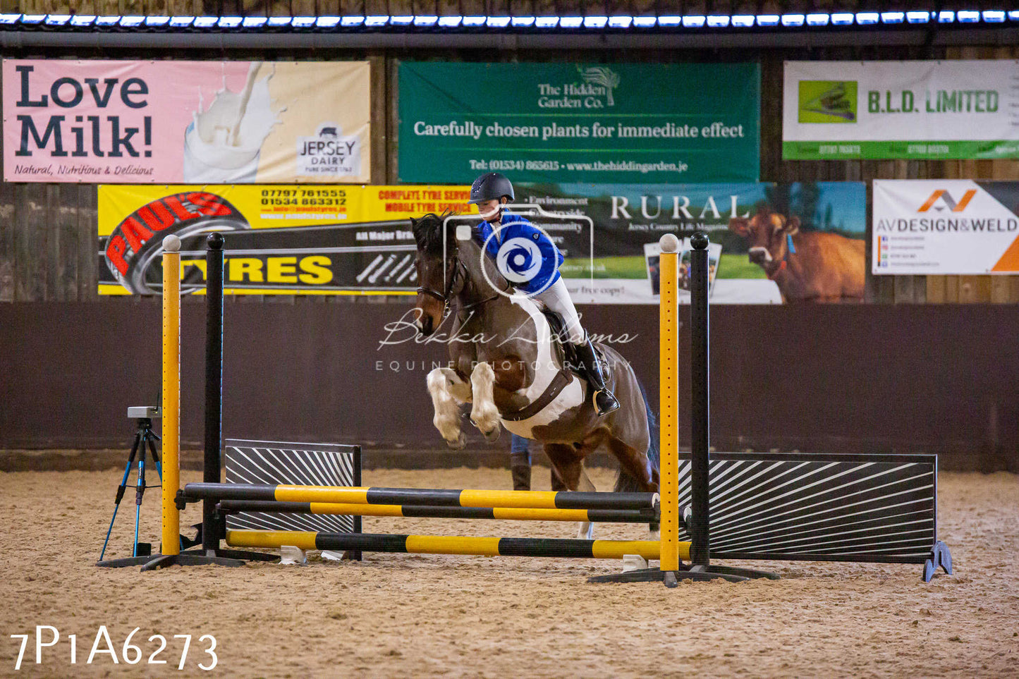 Home Farm Jumping 11th January 2025 - Juniors