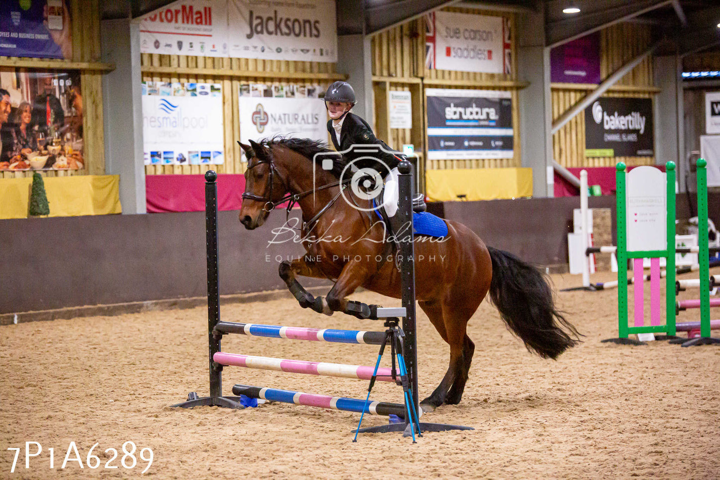 Home Farm Jumping 11th January 2025 - Juniors