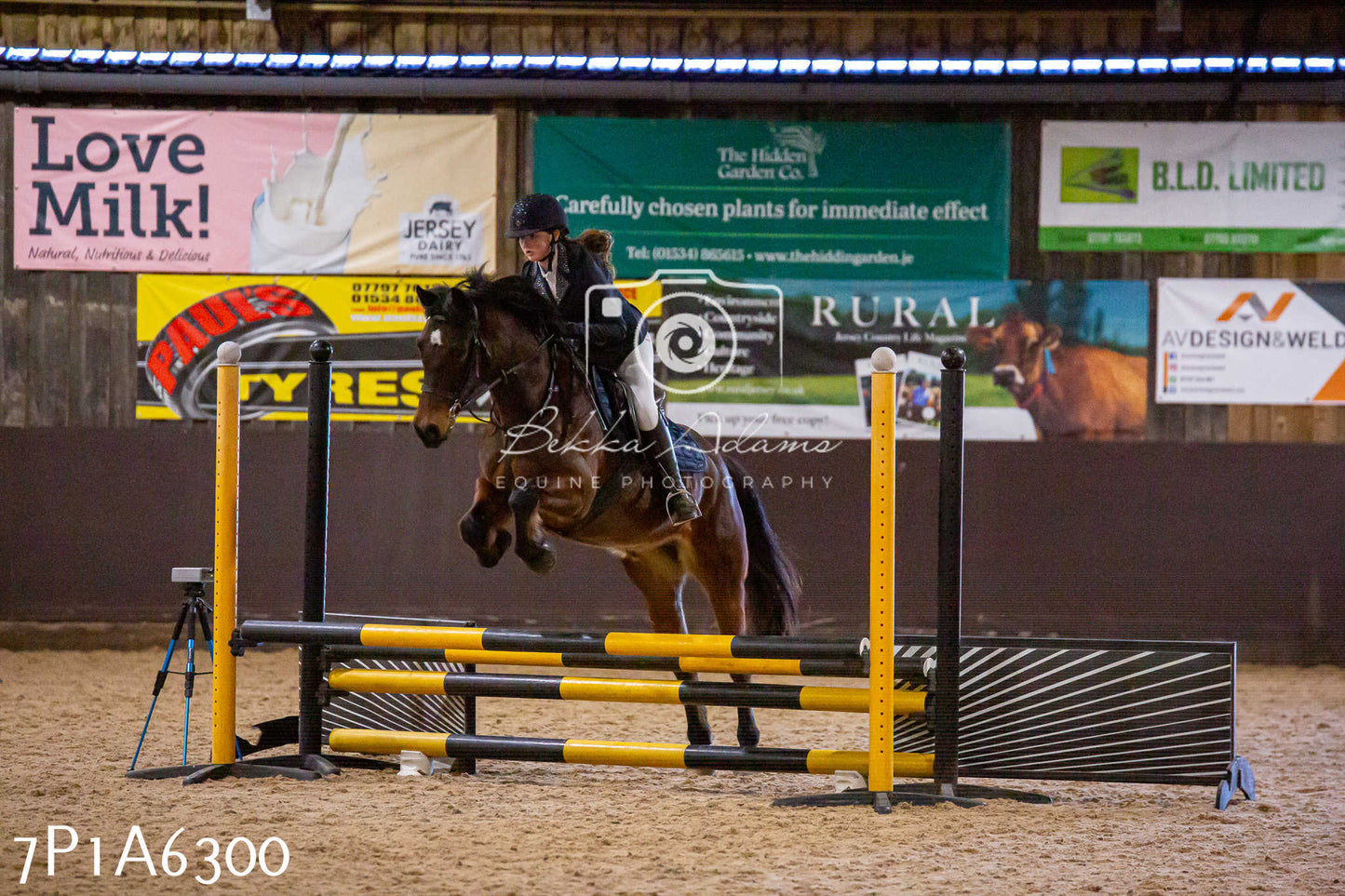 Home Farm Jumping 11th January 2025 - Juniors