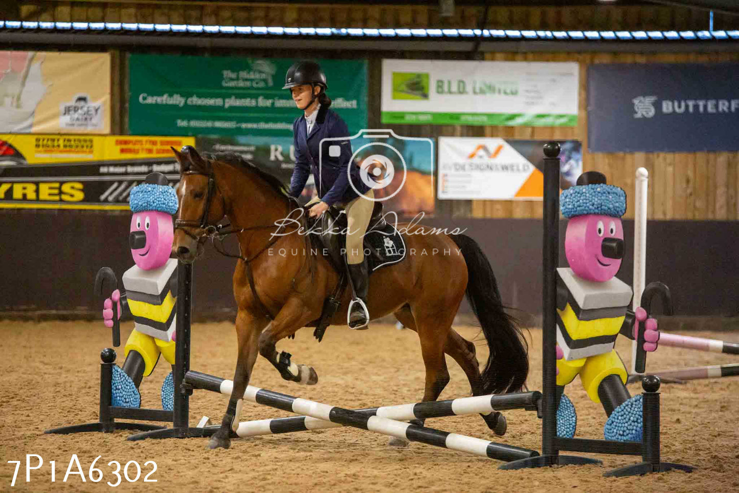 JHOYS 2023 - 14th September - Show Jumping