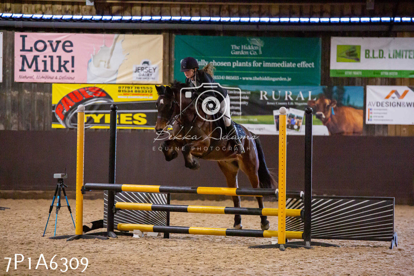 Home Farm Jumping 11th January 2025 - Juniors