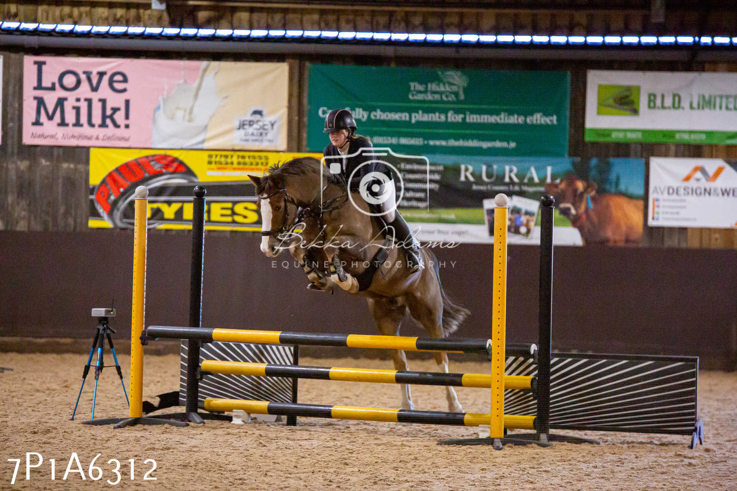 Home Farm Jumping 11th January 2025 - Juniors